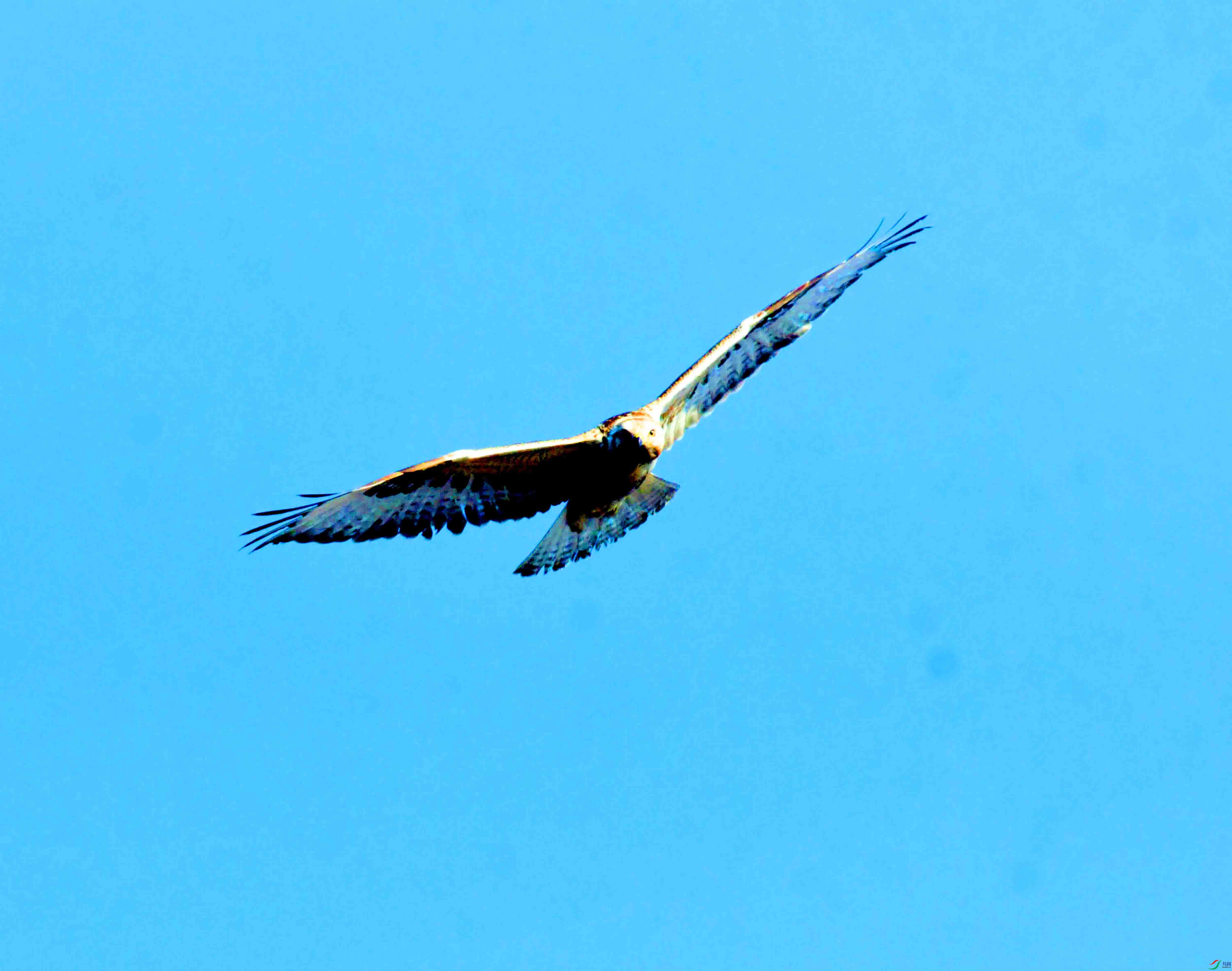 DSC_2641.JPG