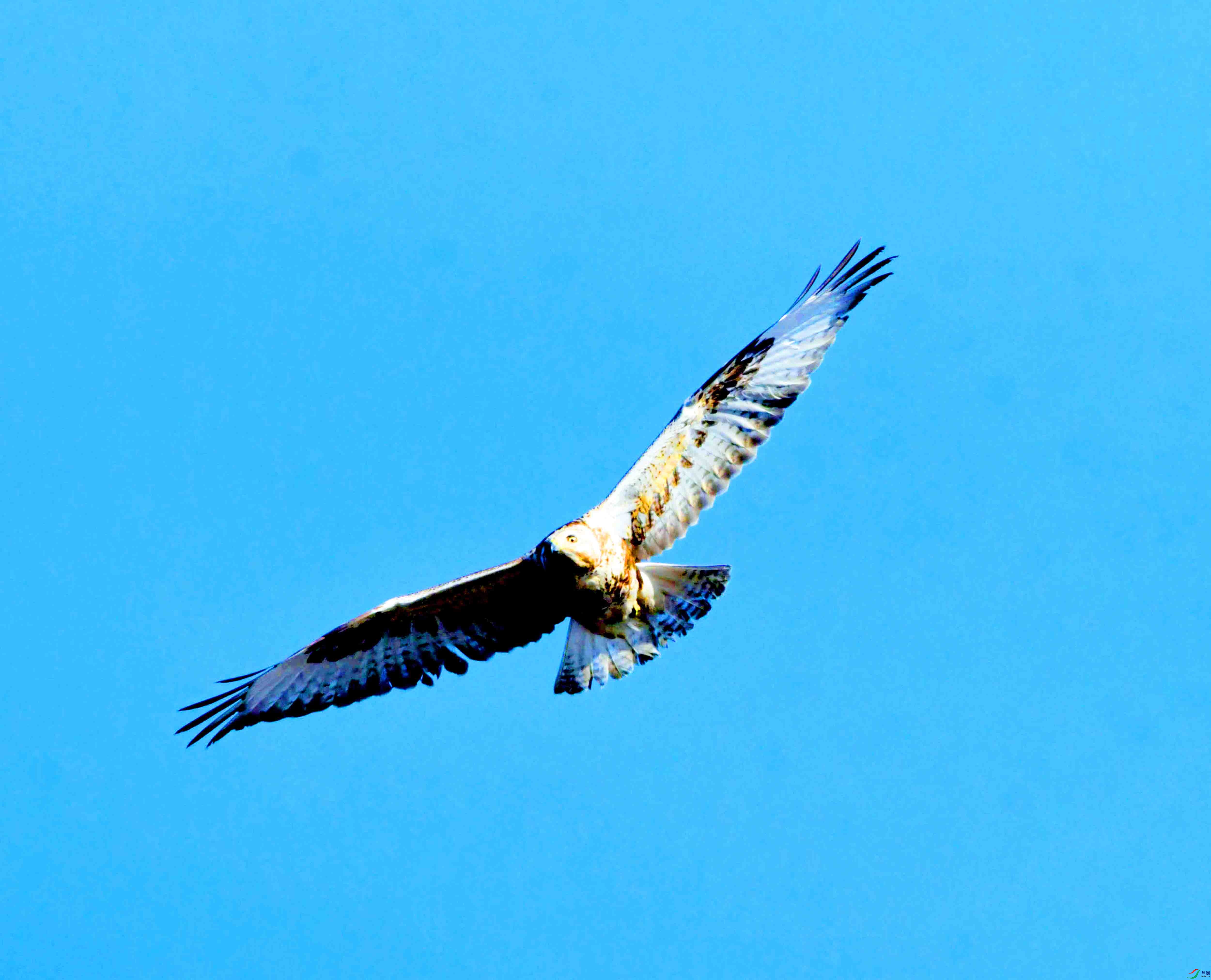 DSC_2643.JPG