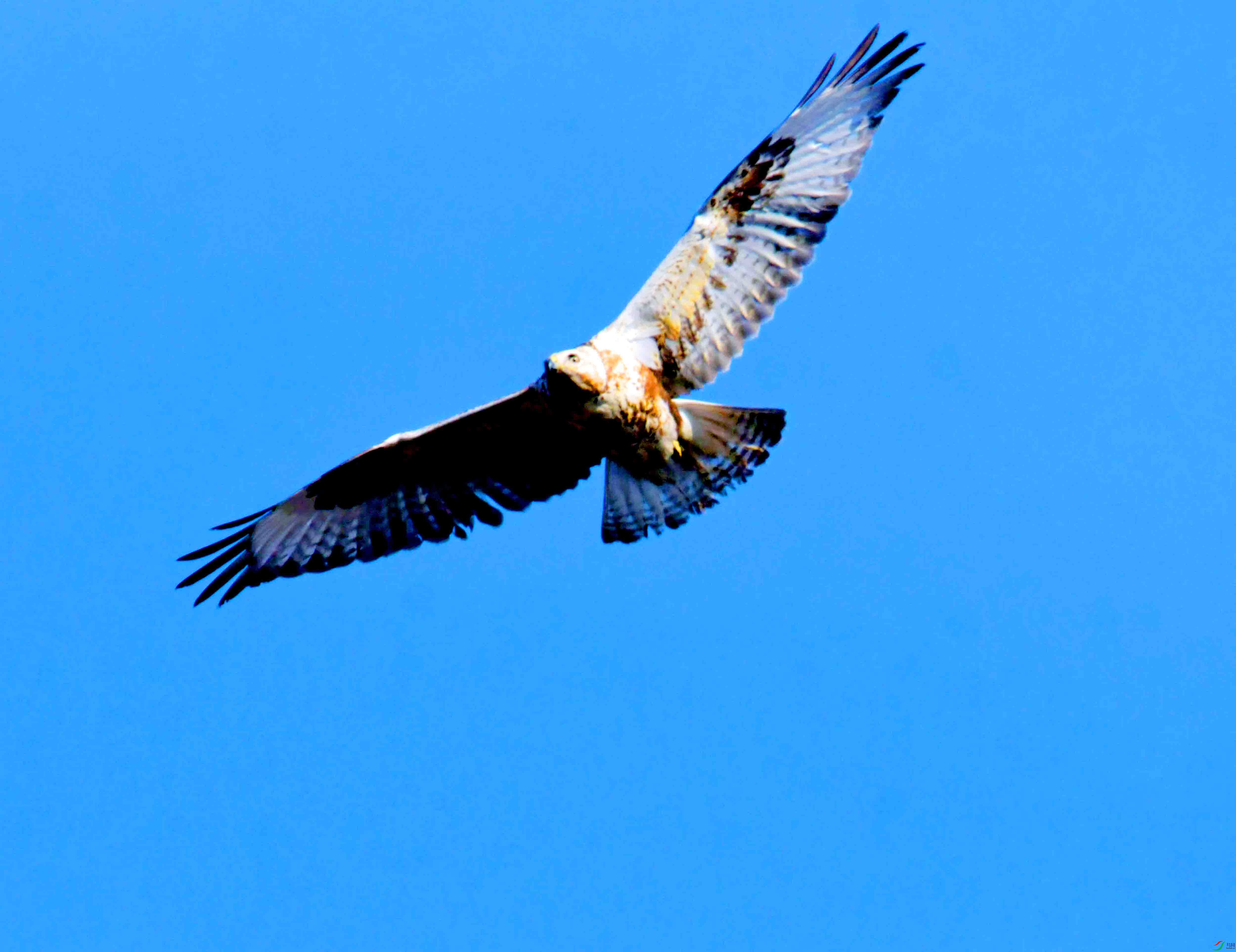 DSC_2663.JPG
