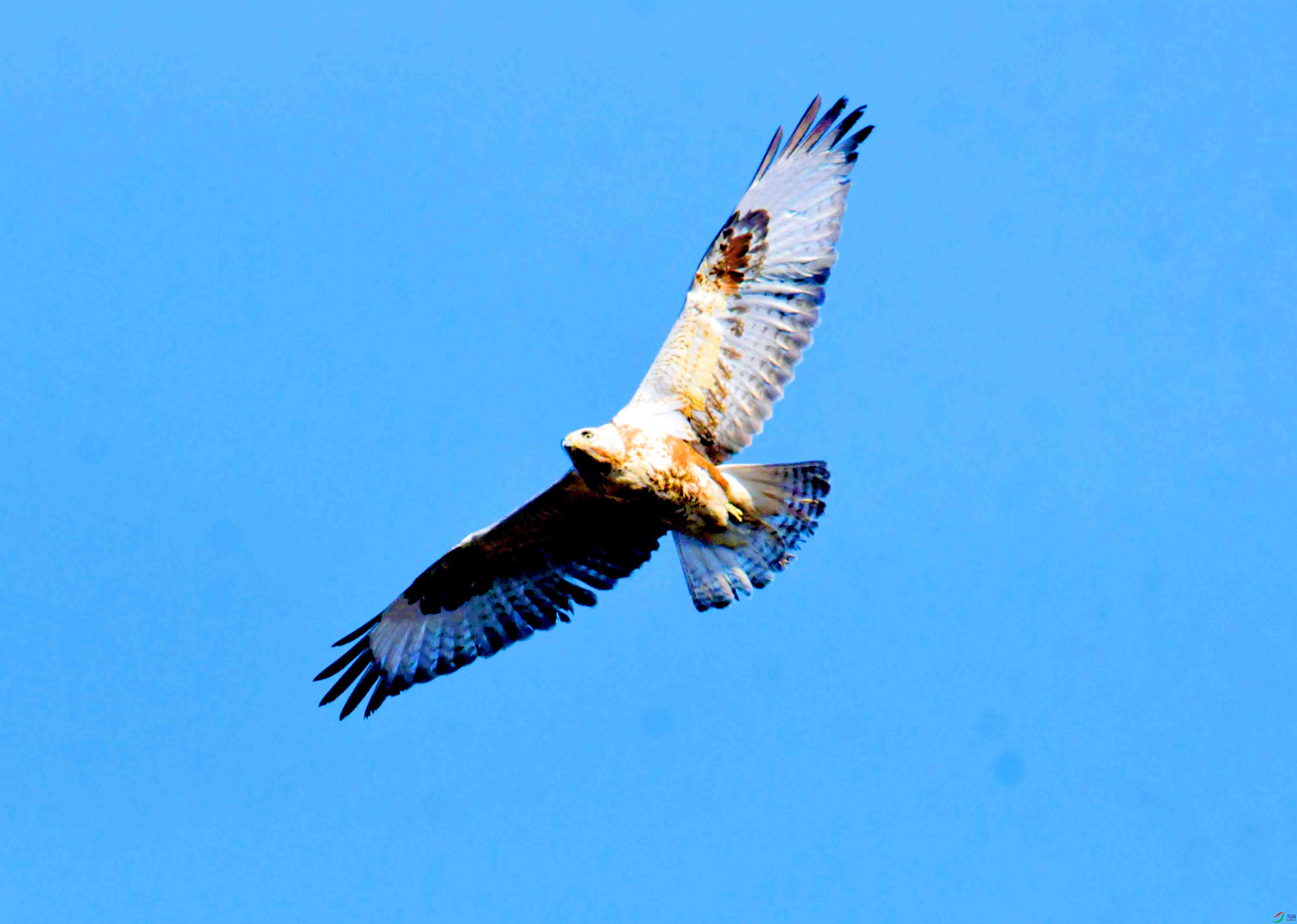 DSC_2665.JPG