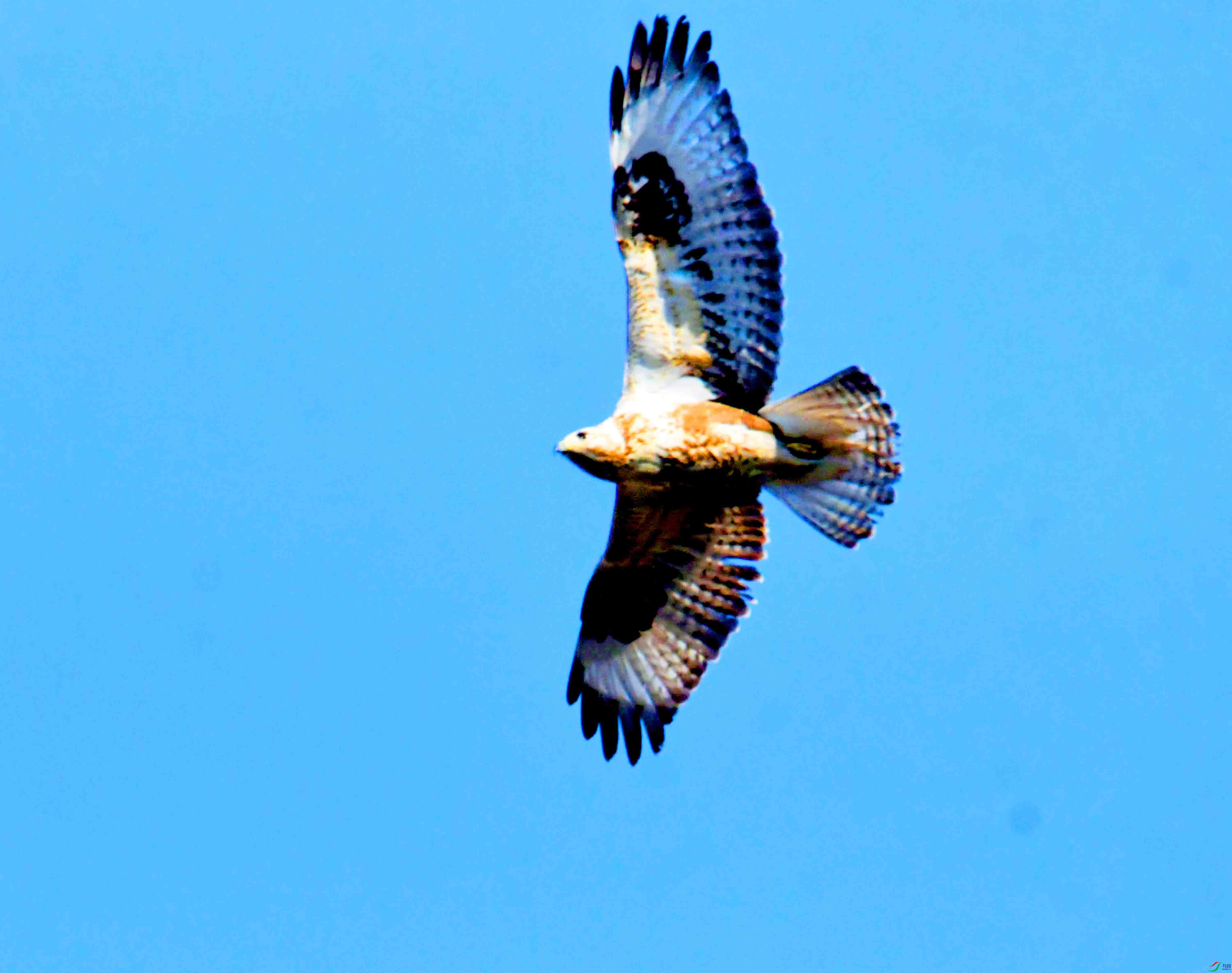 DSC_2667.JPG