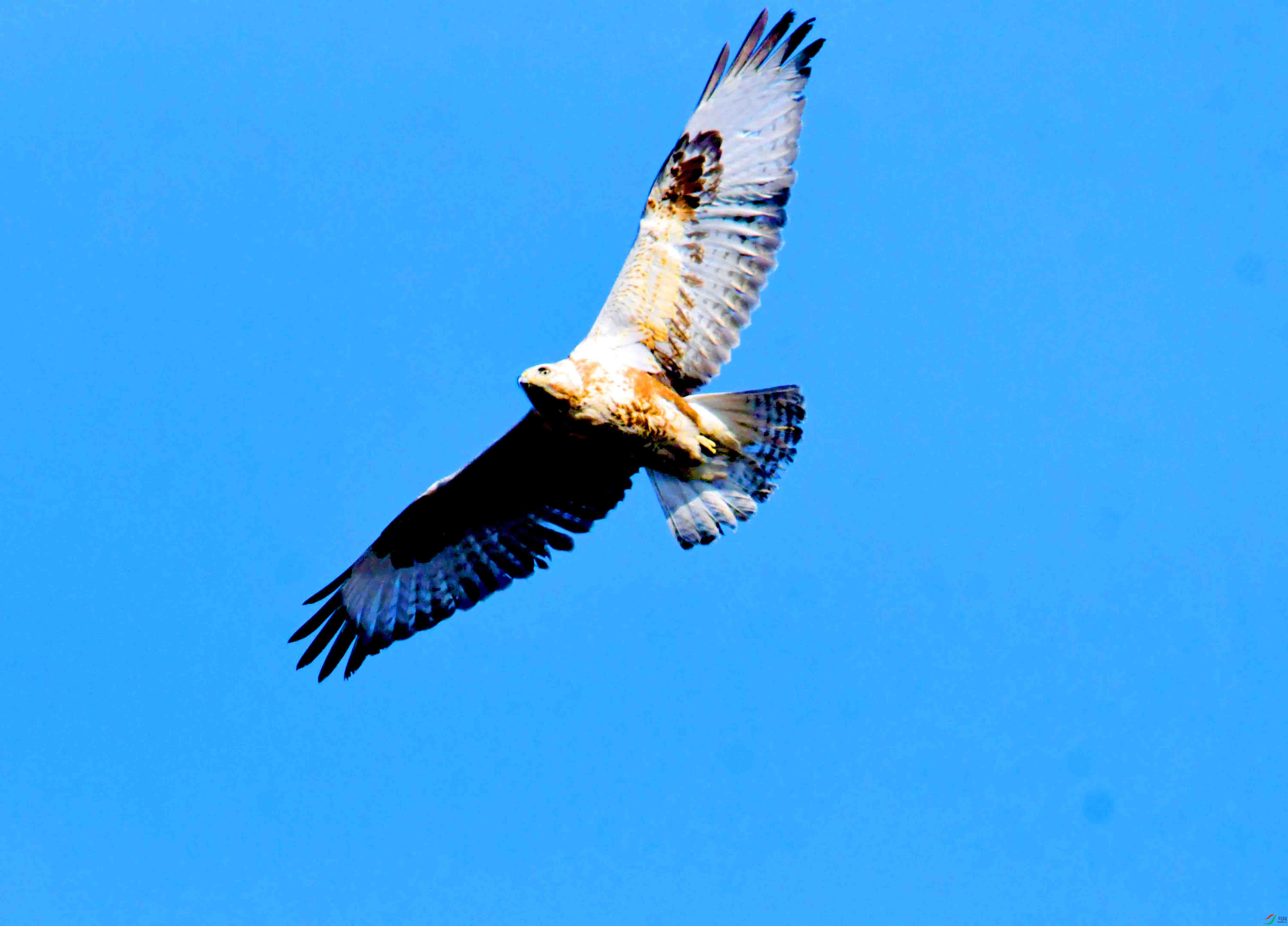 DSC_2666.JPG