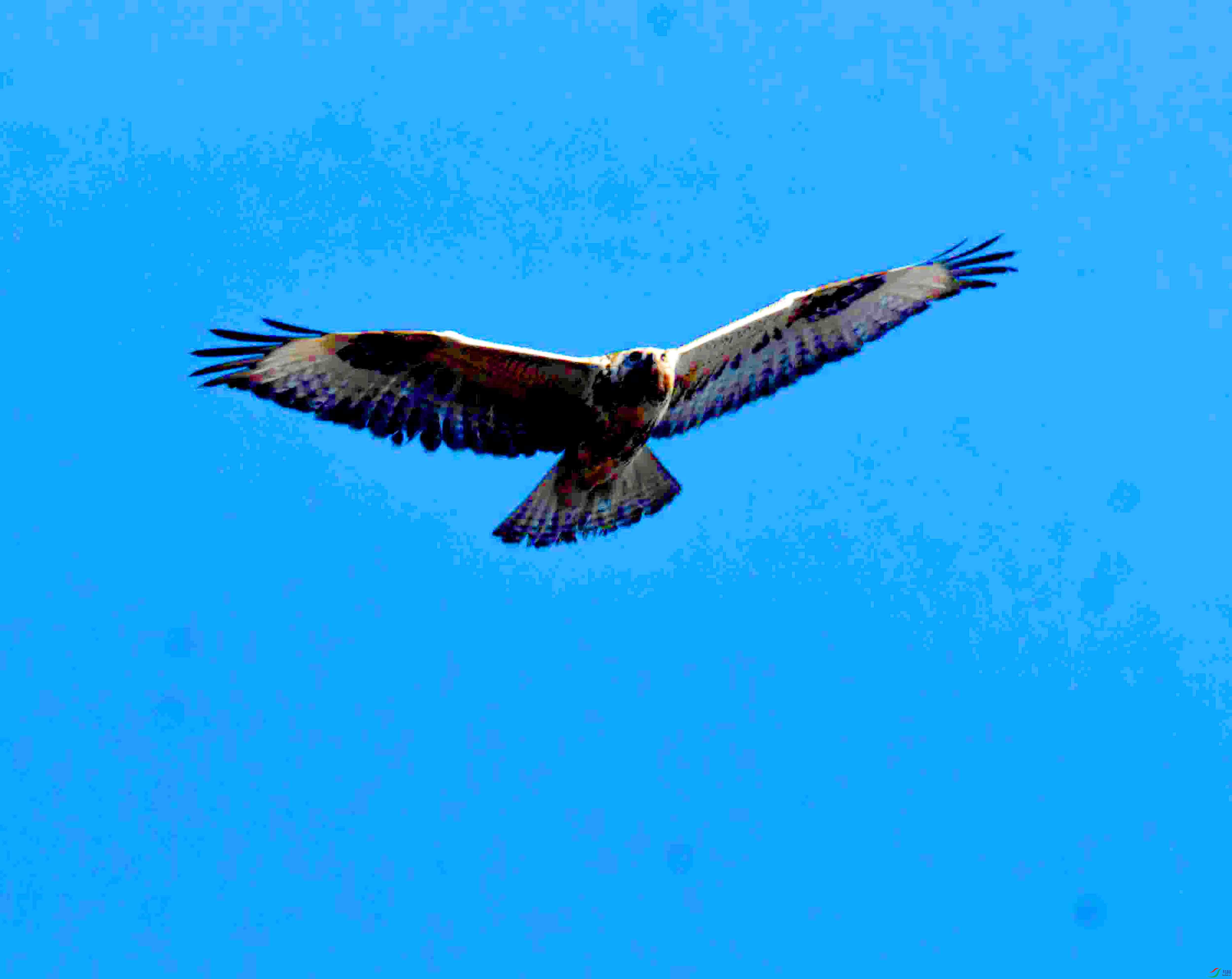 DSC_2677.JPG