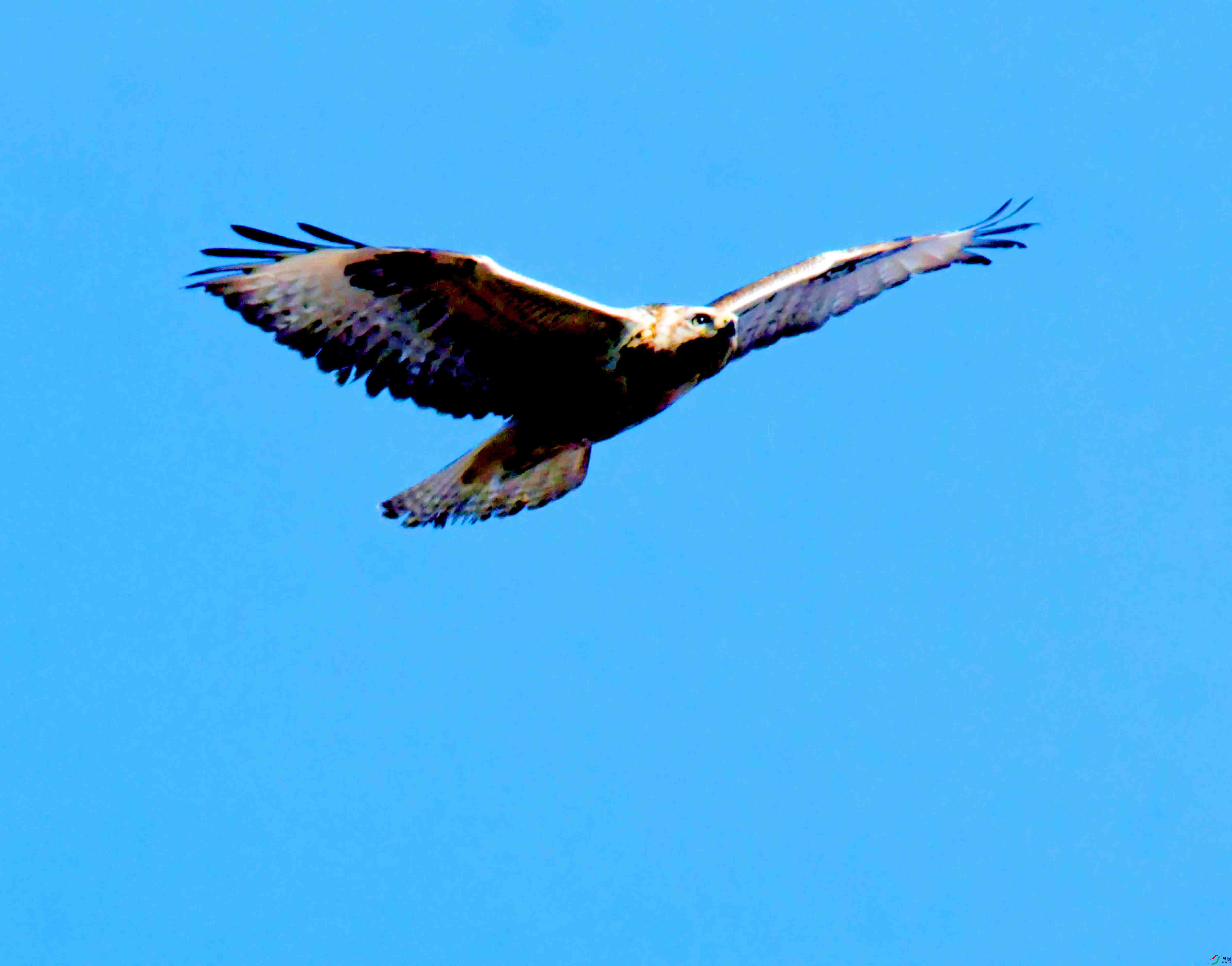 DSC_2676.JPG