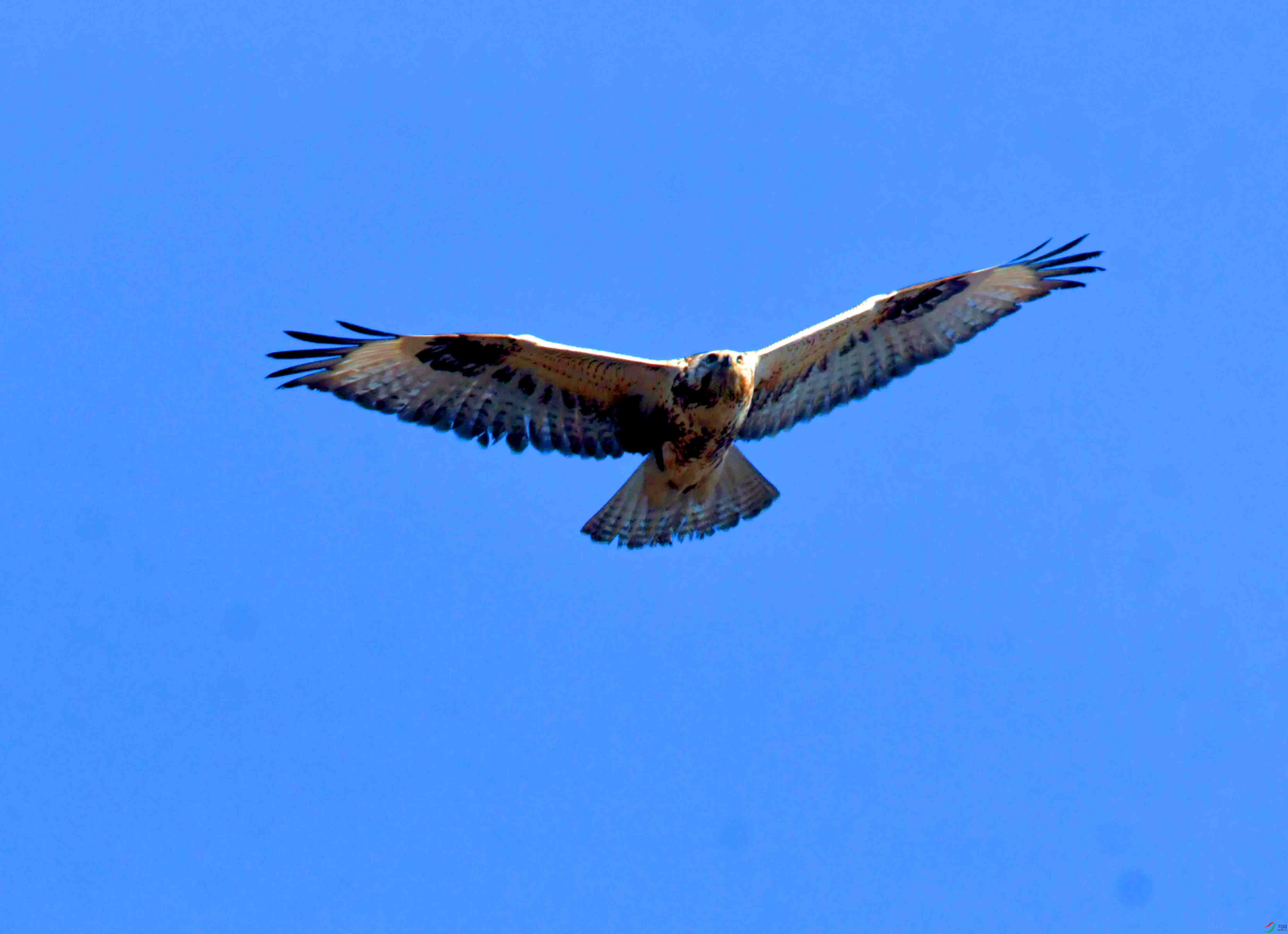 DSC_2678.JPG