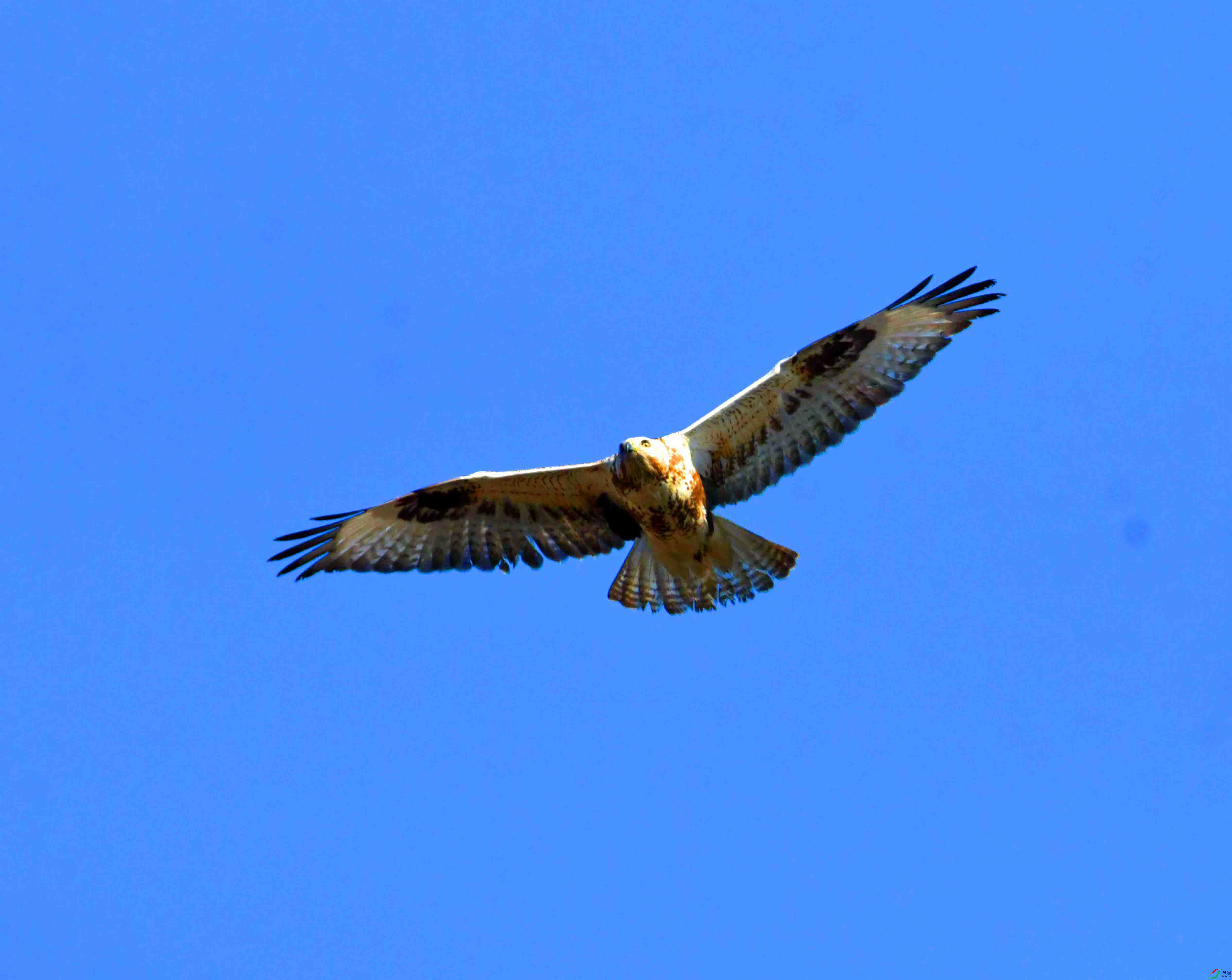 DSC_2680.JPG