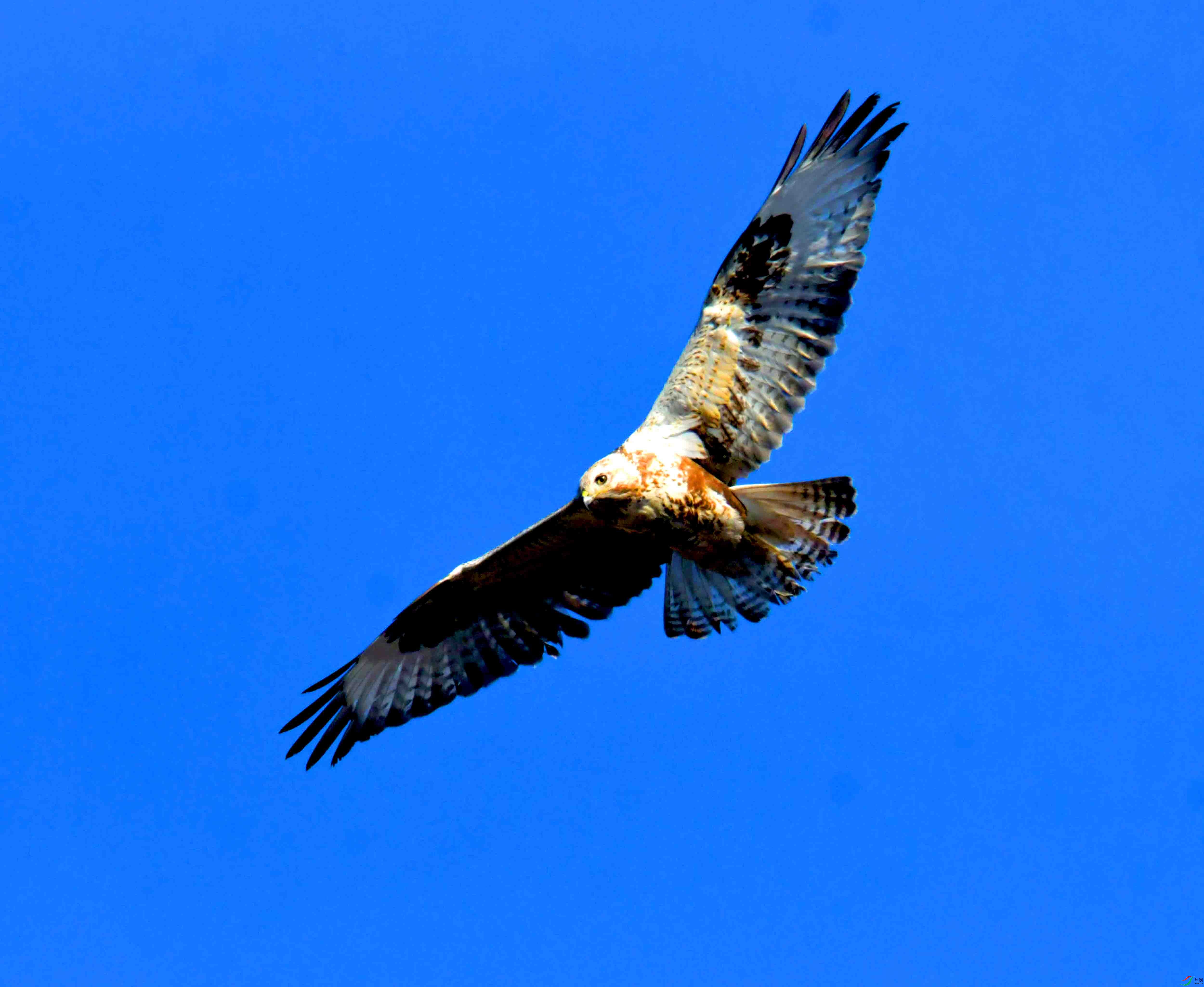 DSC_2682.JPG