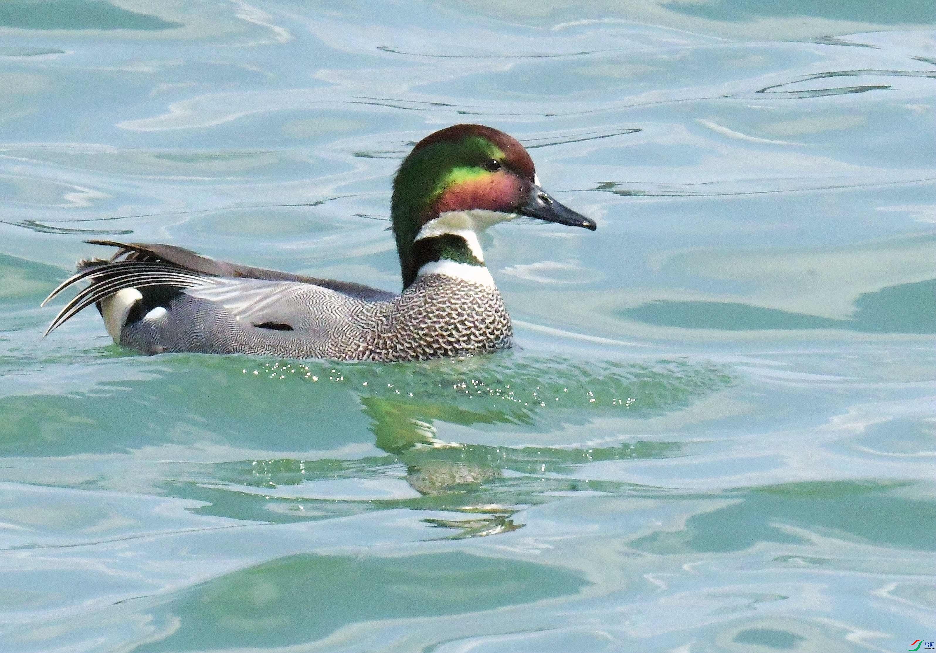 DSC_9444.JPG