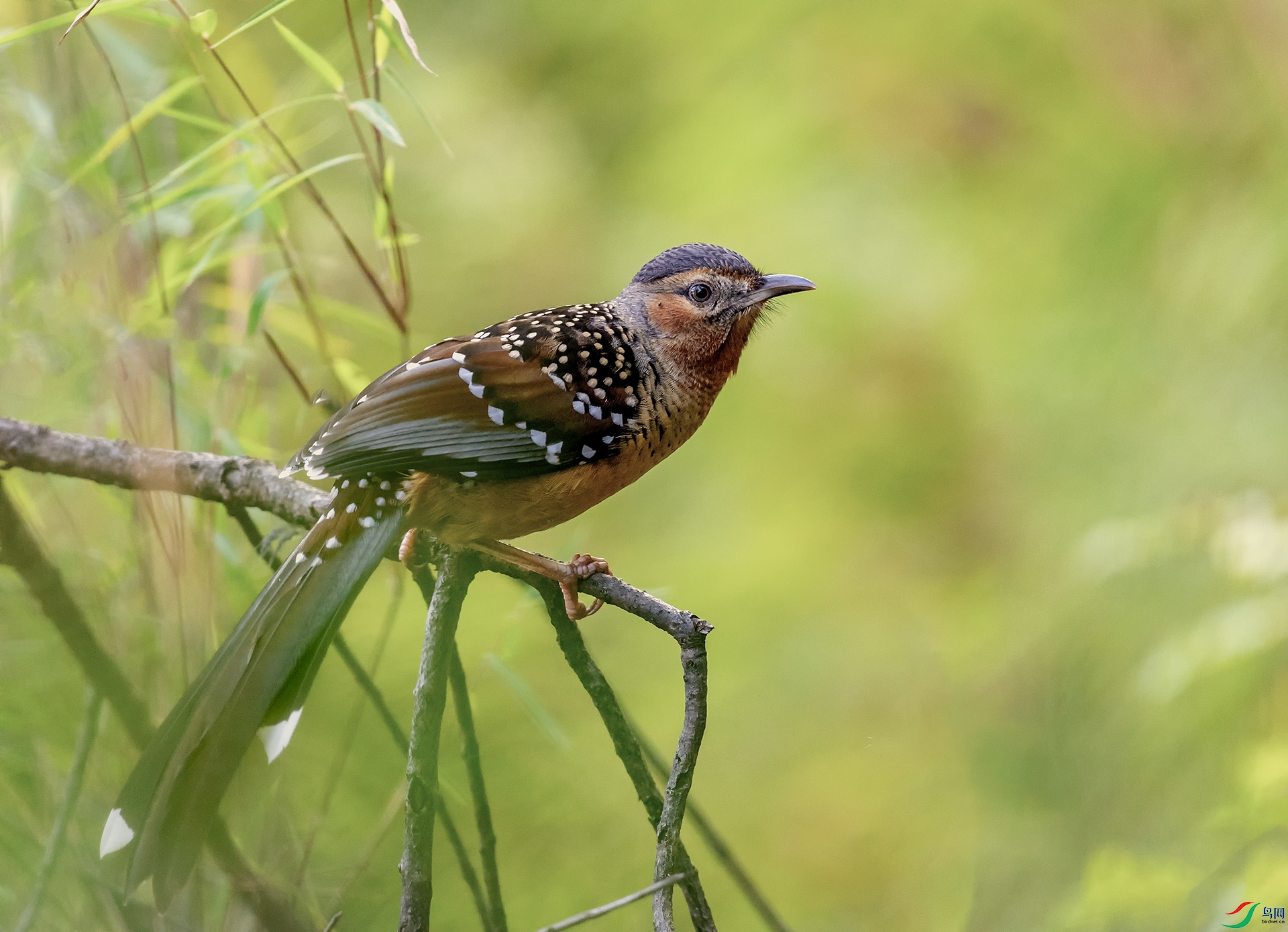 DSC_8773-1.jpg