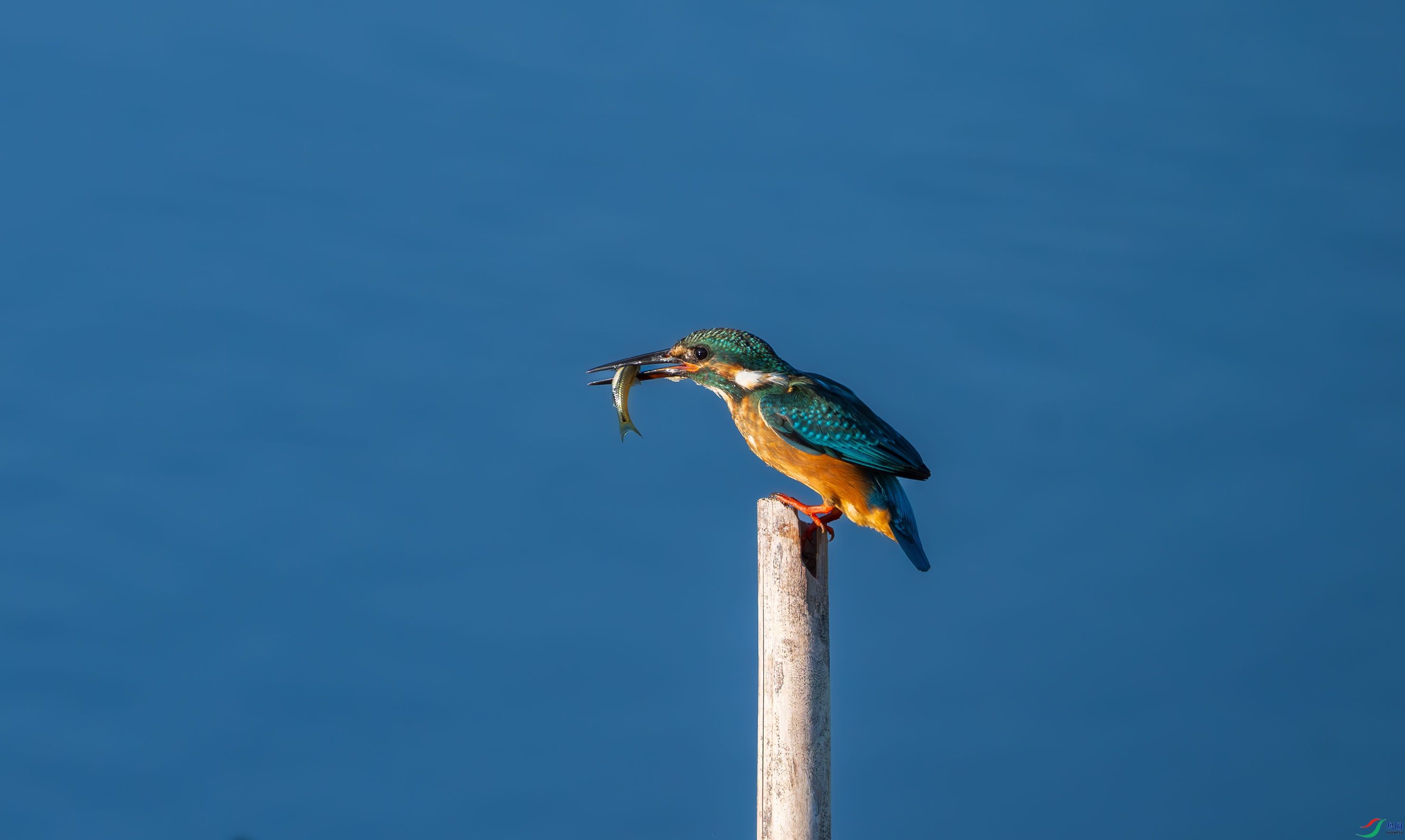 DSC_6225.jpg
