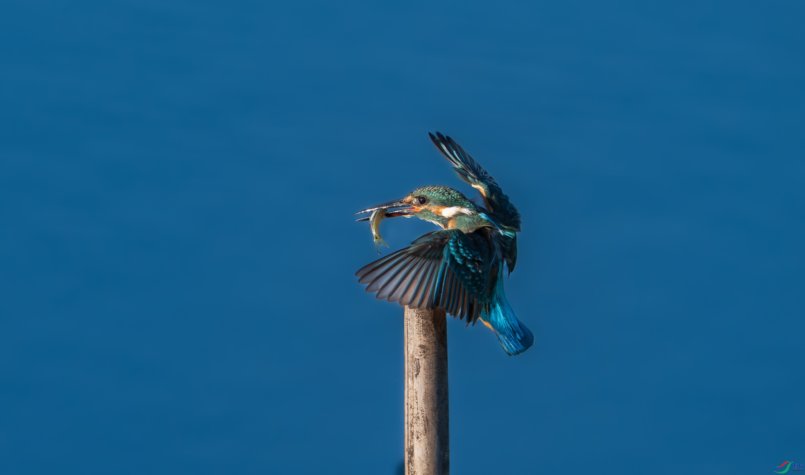 DSC_6221.jpg