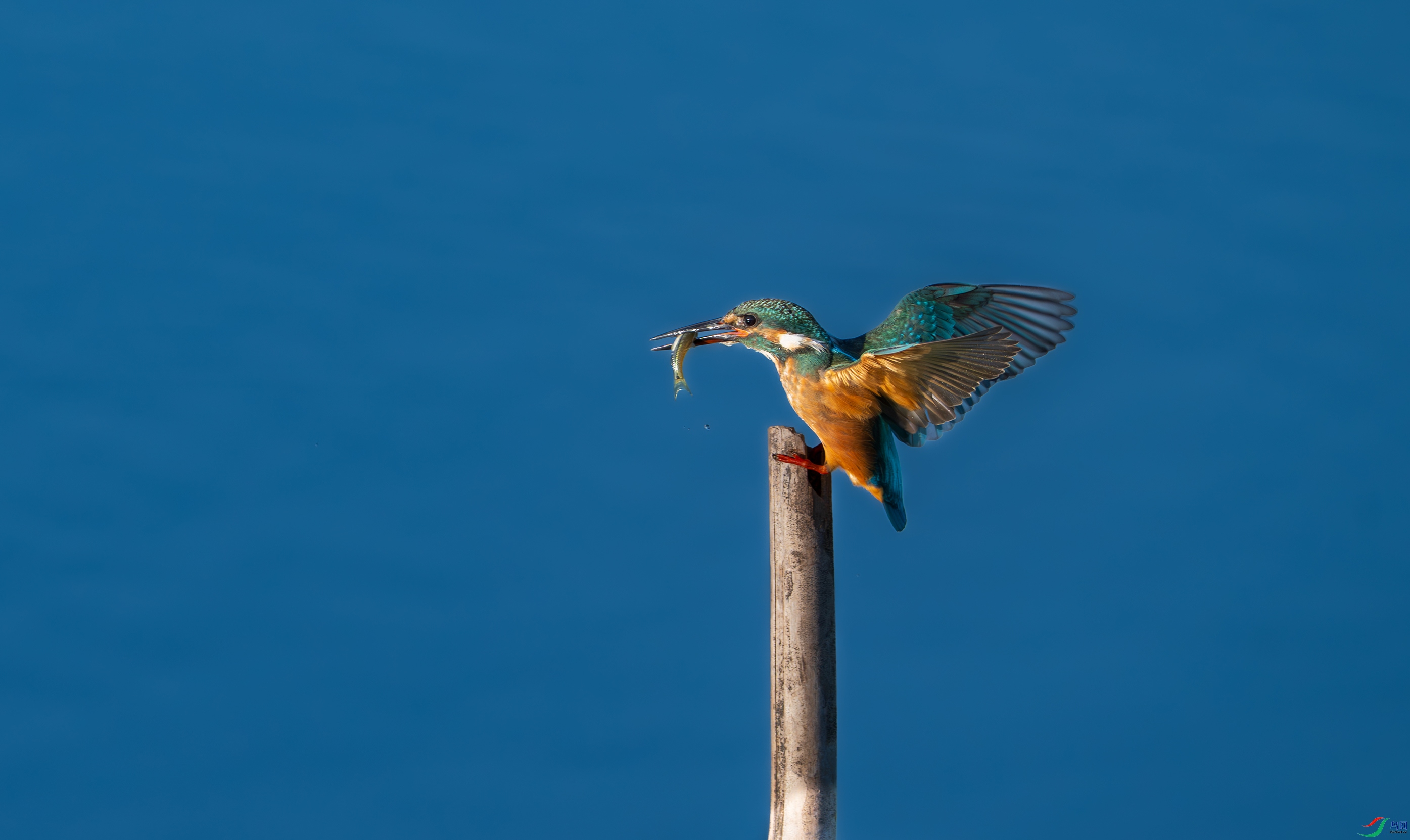 DSC_6222.jpg