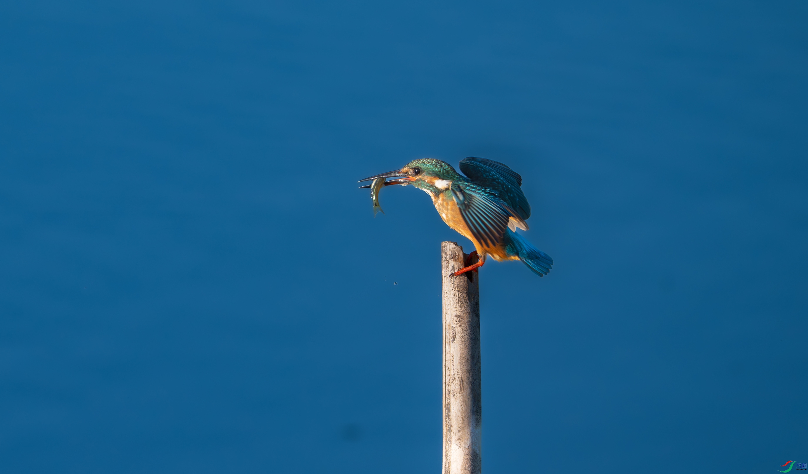 DSC_6223.jpg
