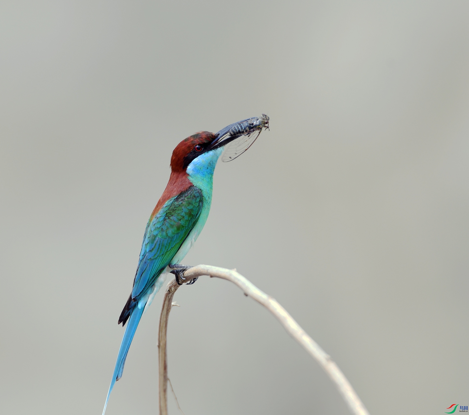 DSC_9200.jpg