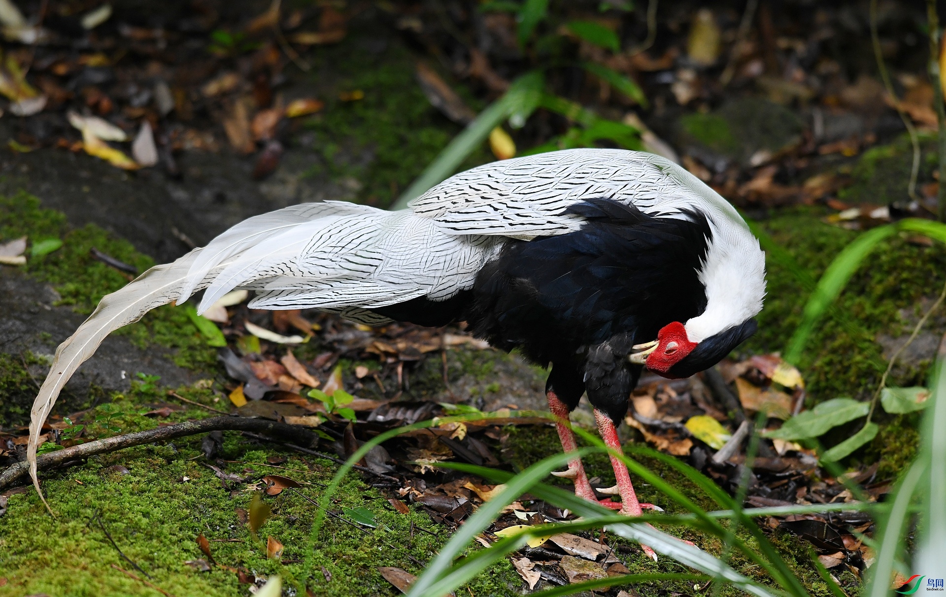 DSC_6881.jpg