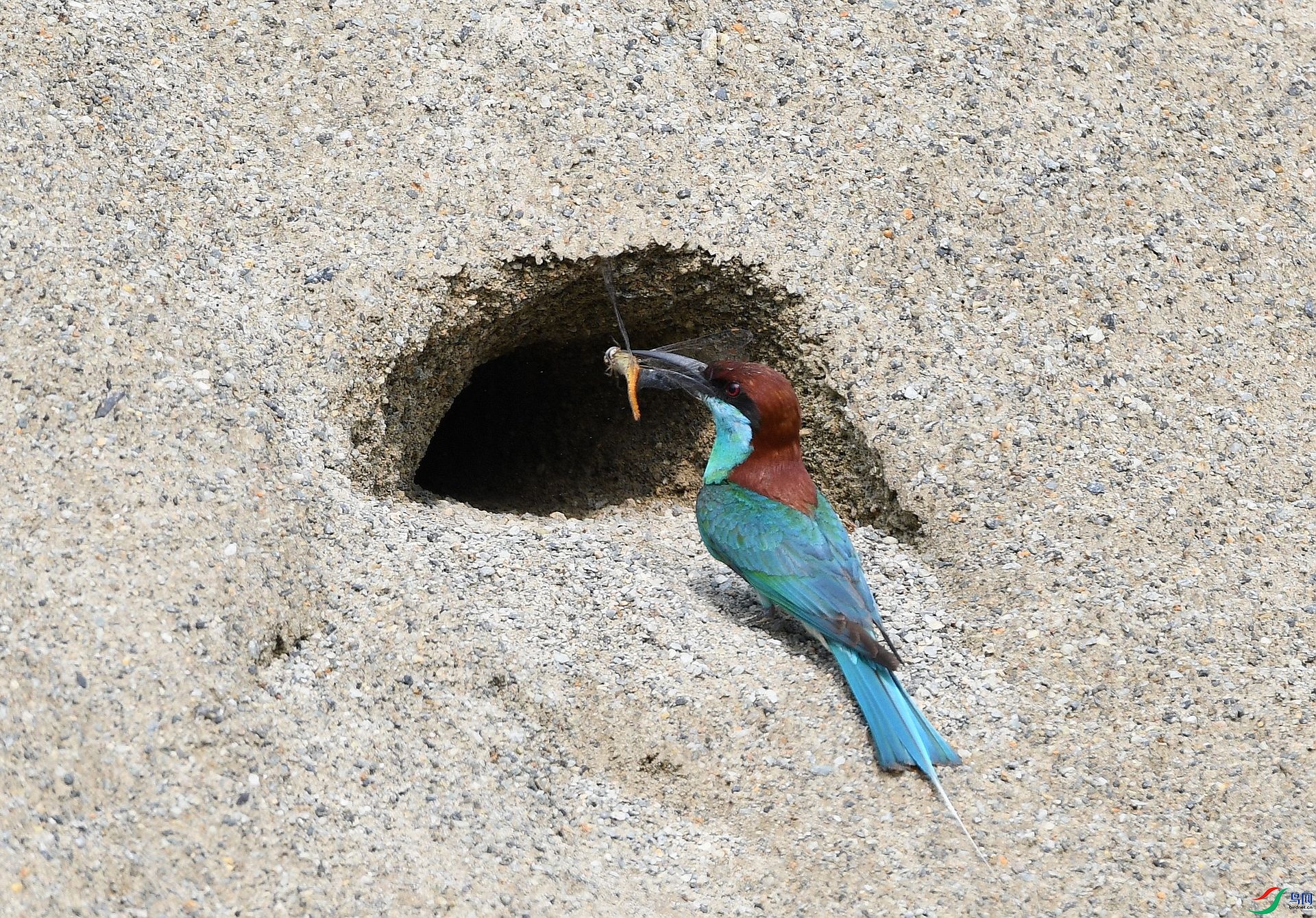 DSC_8267.jpg
