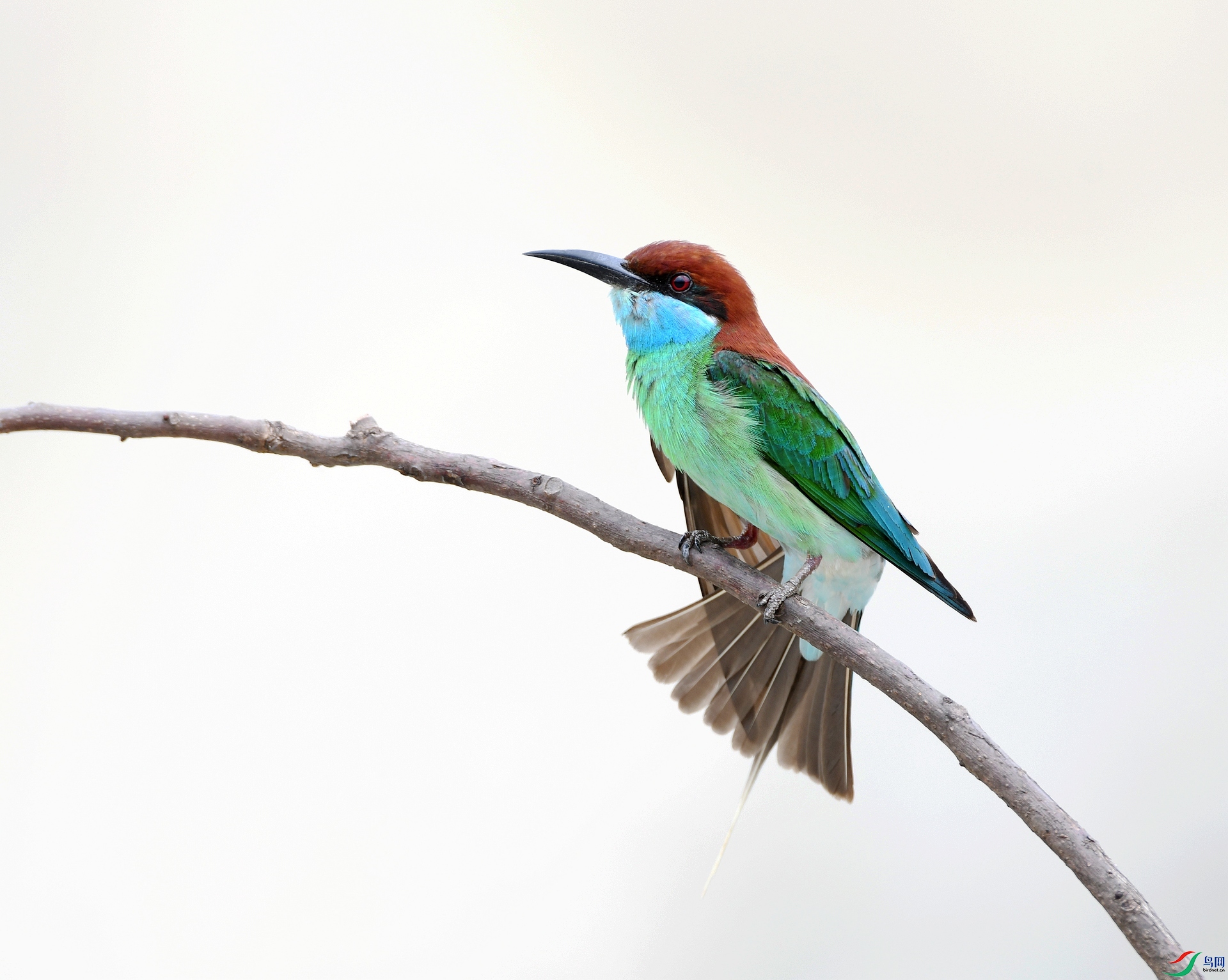 DSC_4409.jpg