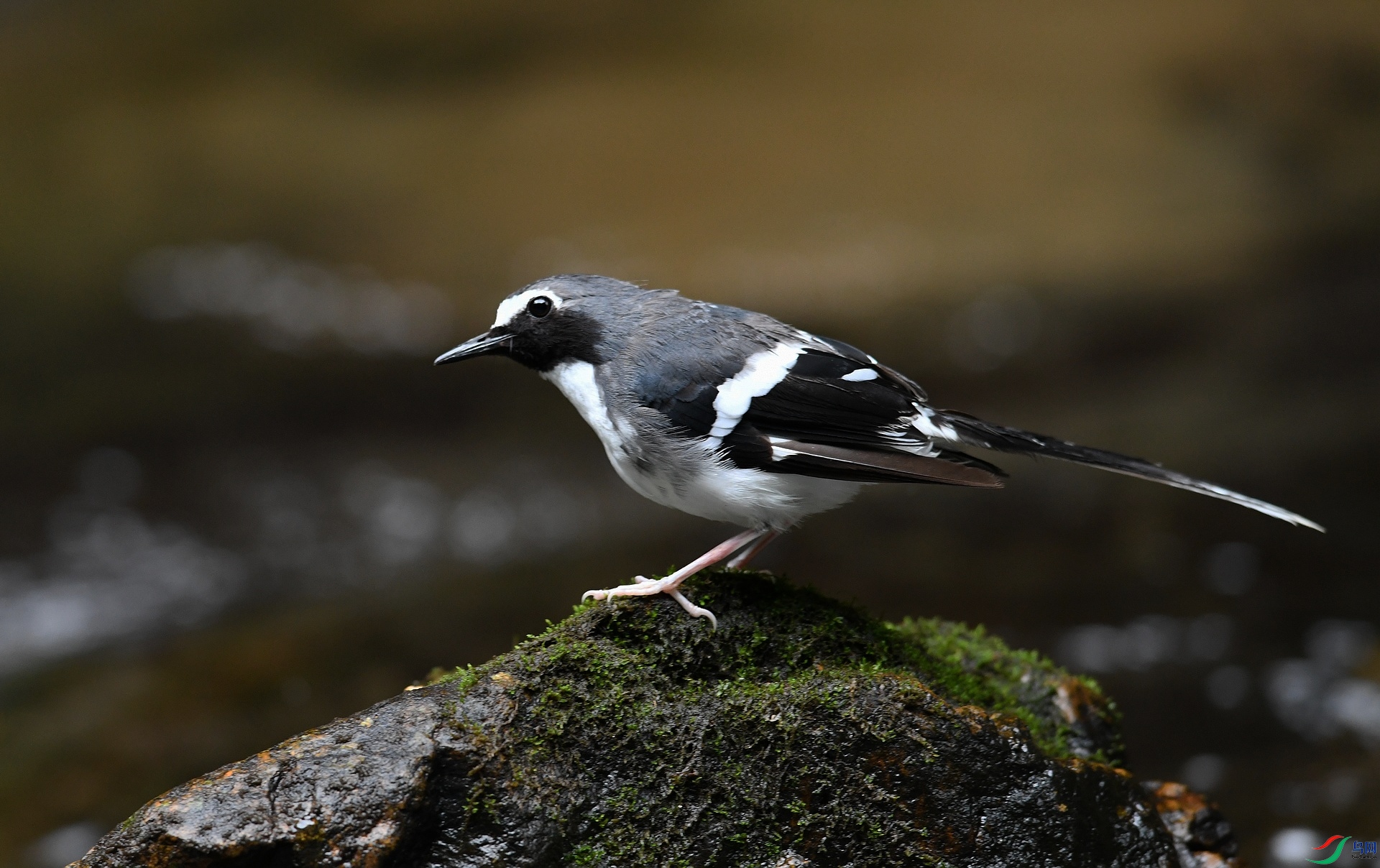 DSC_6080.jpg