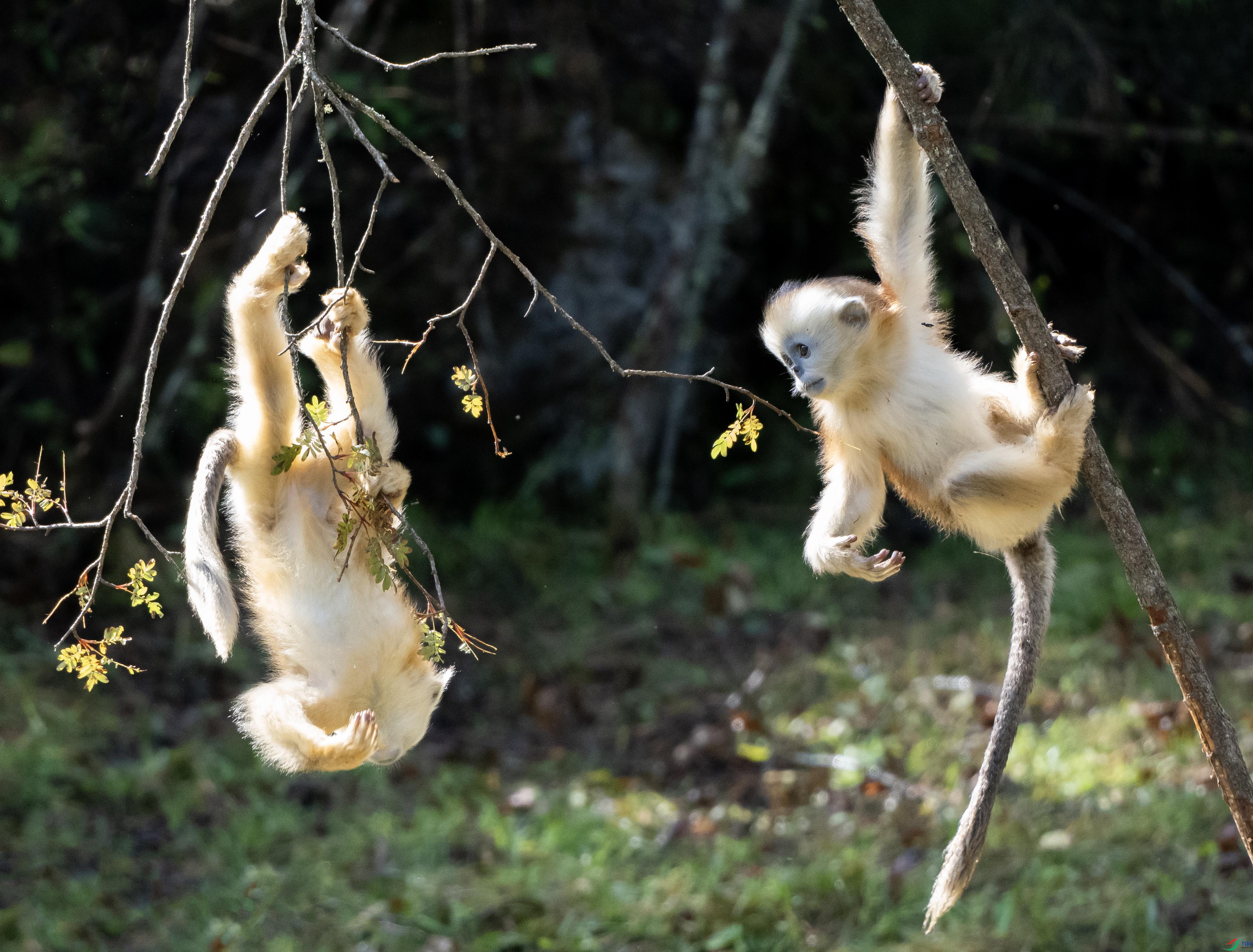 1-xtP8070467 ����.jpg