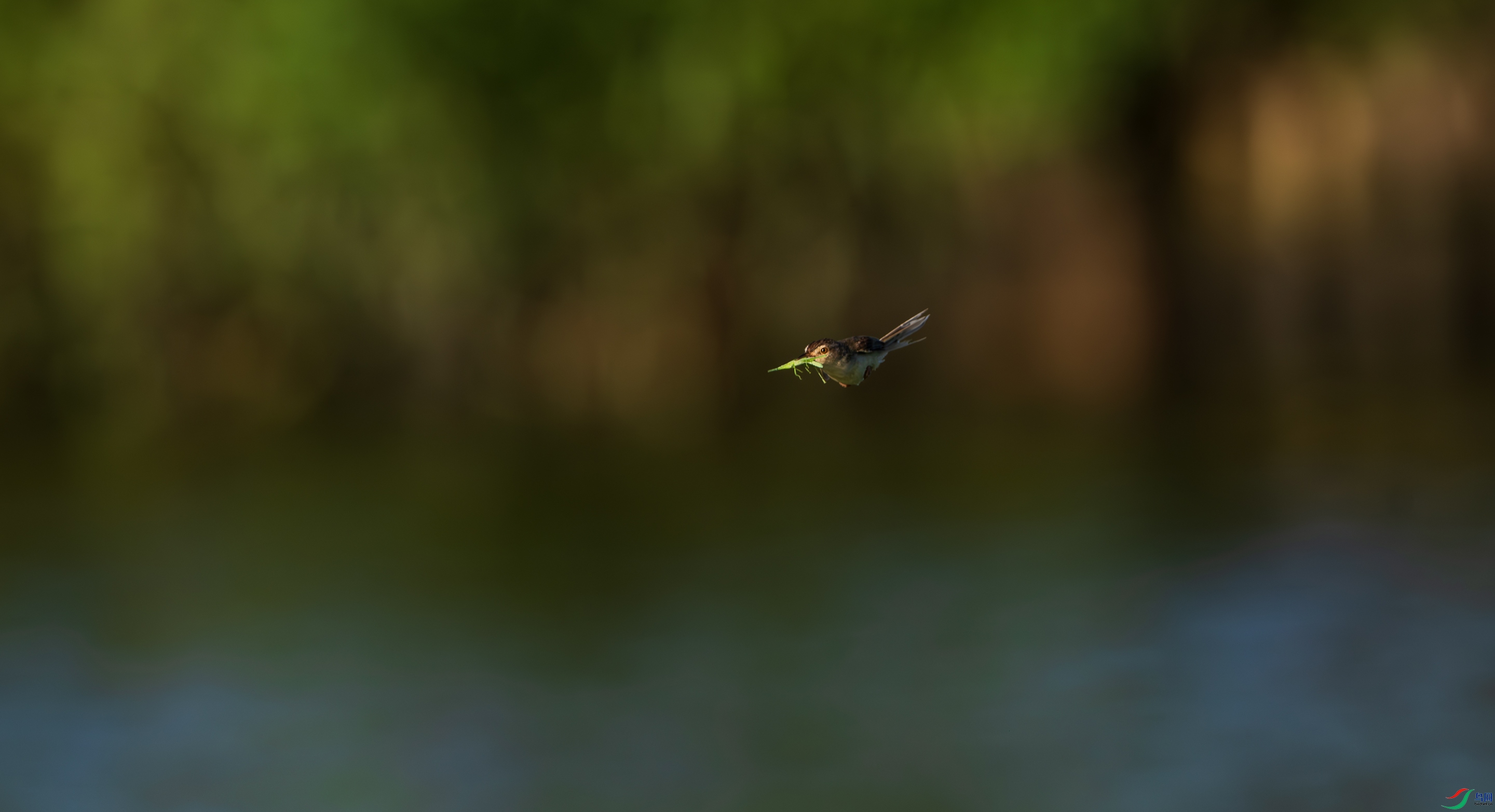 DSC_6683����.jpg