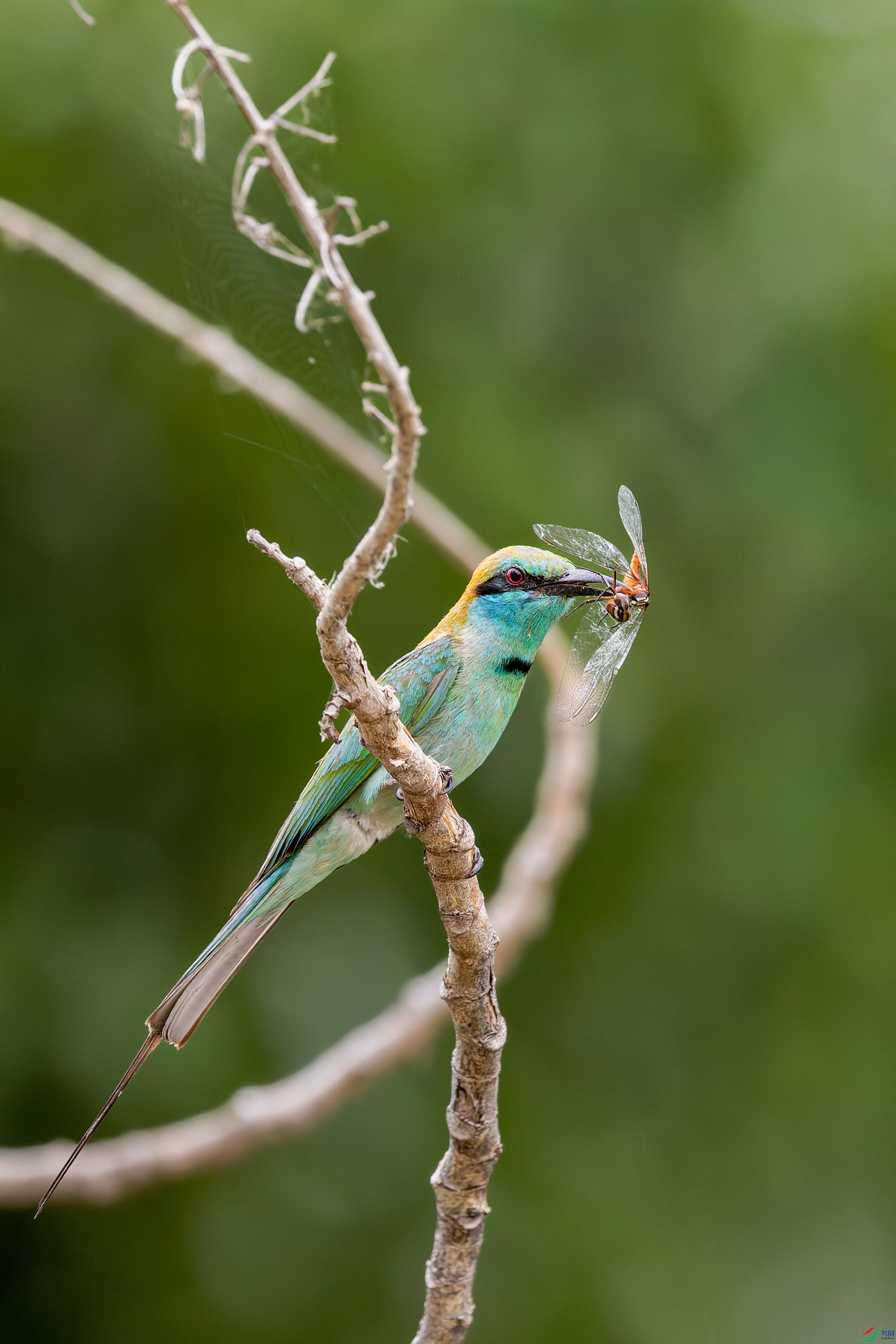 7D2_9197-CR2_DxO_DeepPRIME-1.jpg