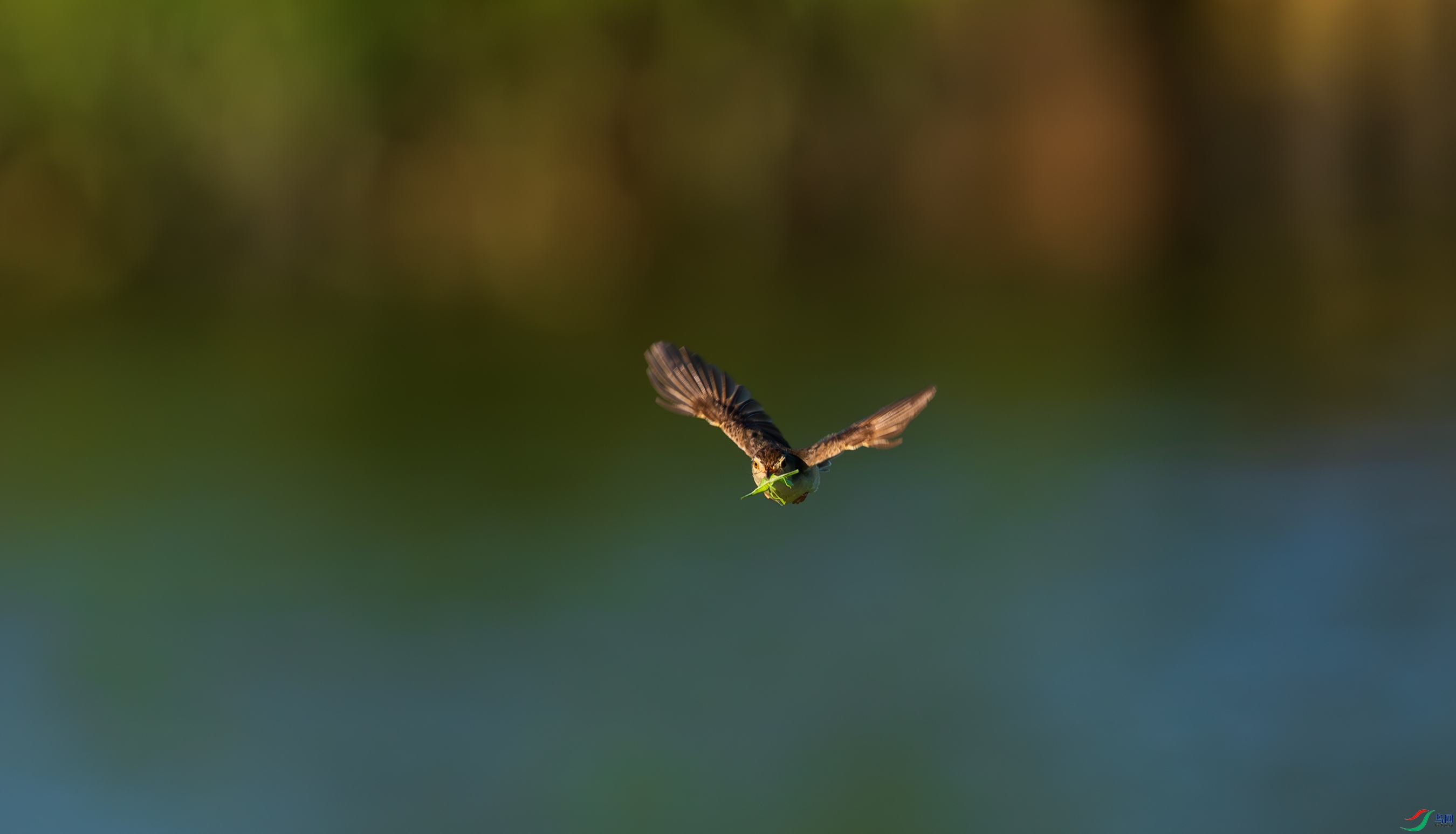 DSC_6688����.jpg