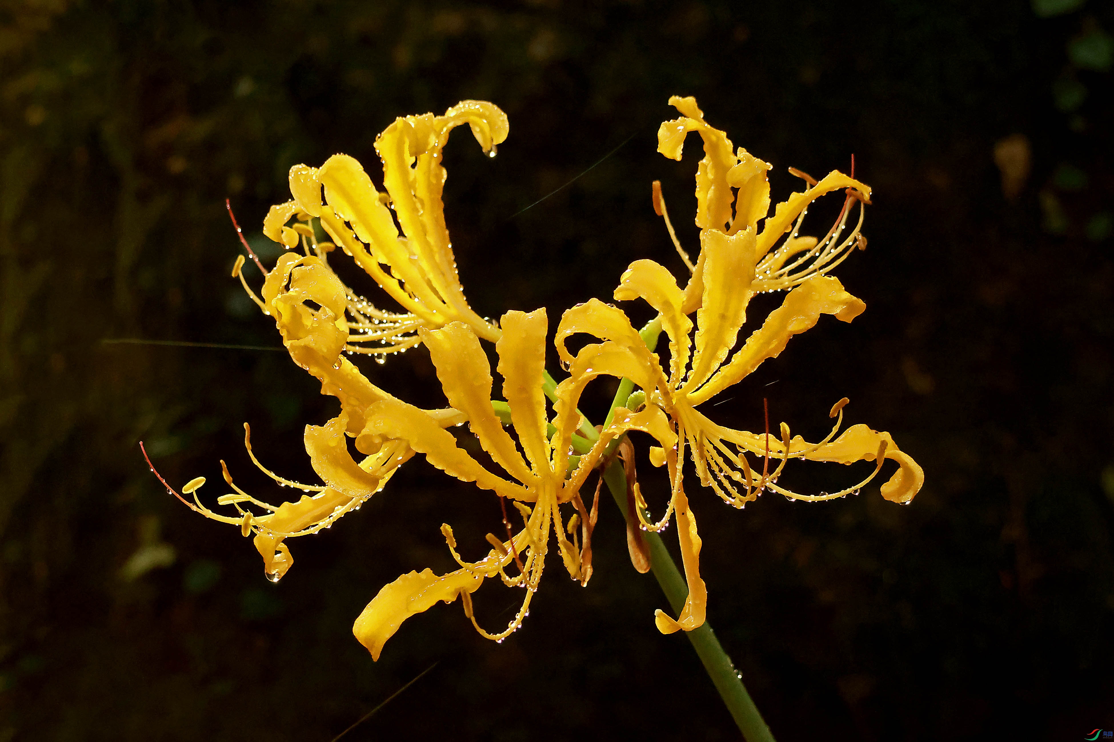 2G9A6820.JPG
