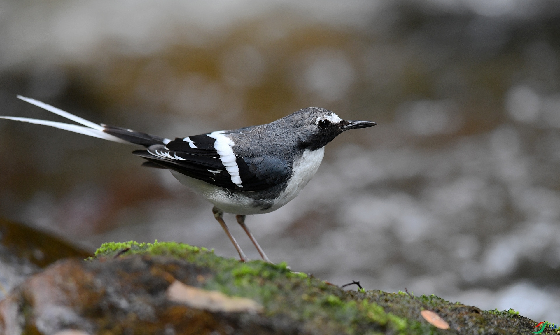 DSC_4169.jpg