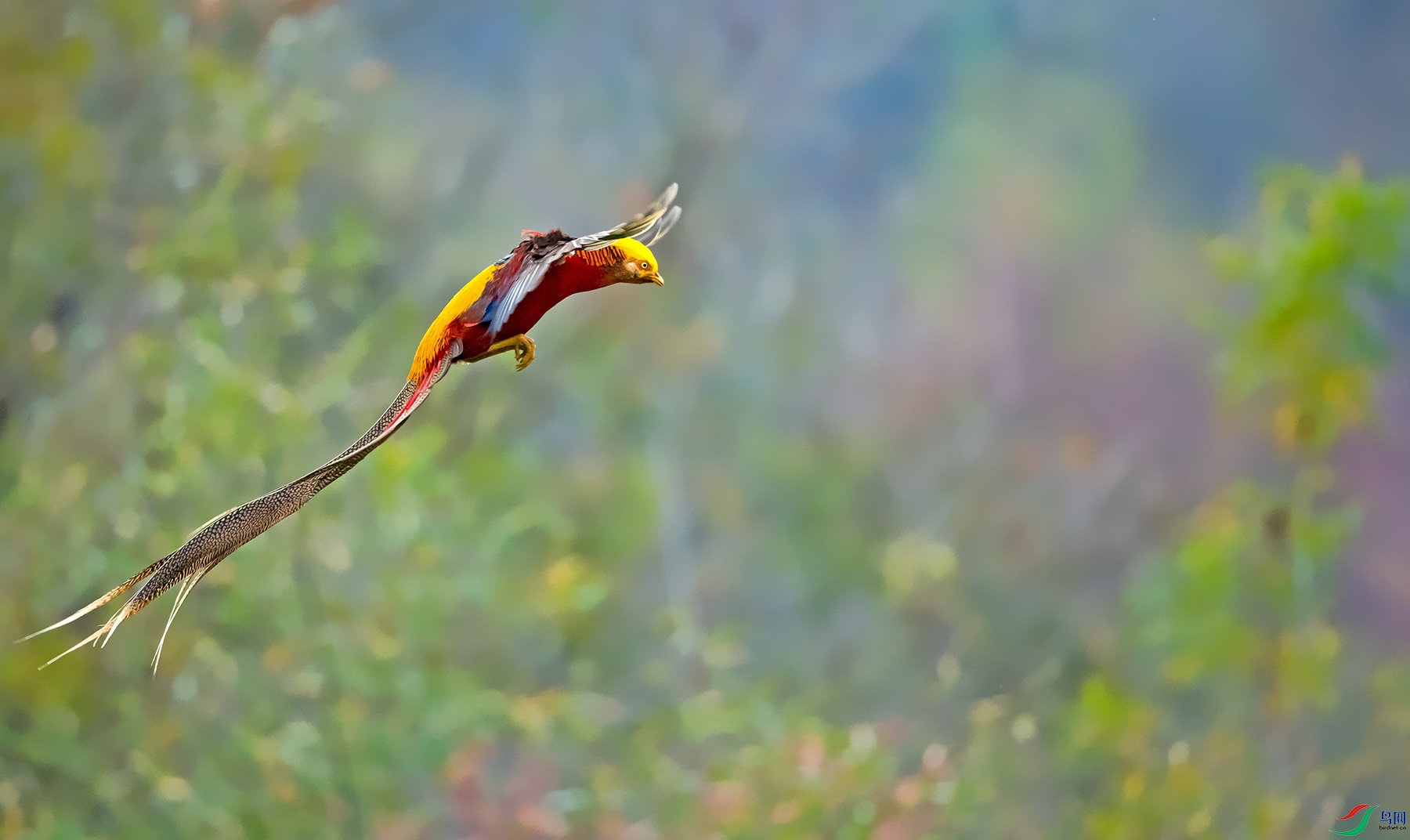 _GH_4434.jpg