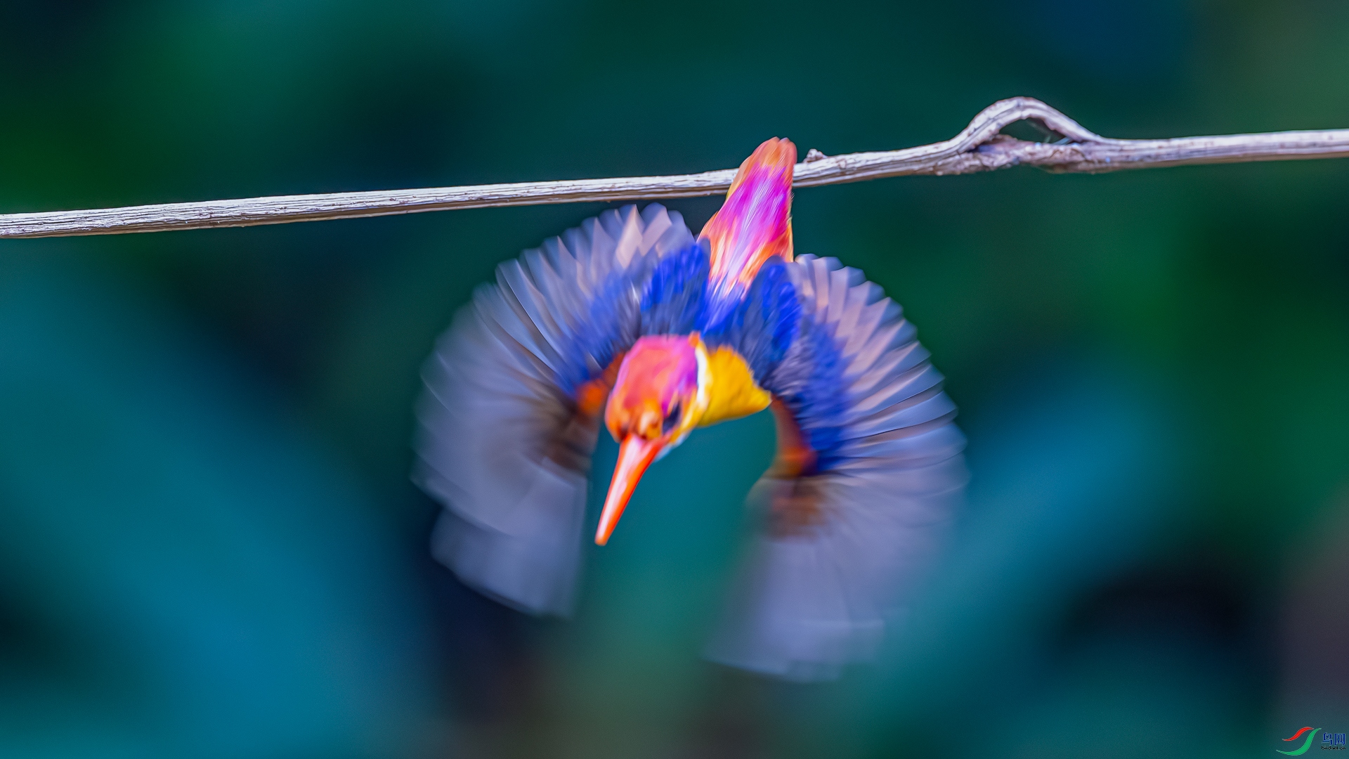_M8A6999-����ǿ-NR.jpg
