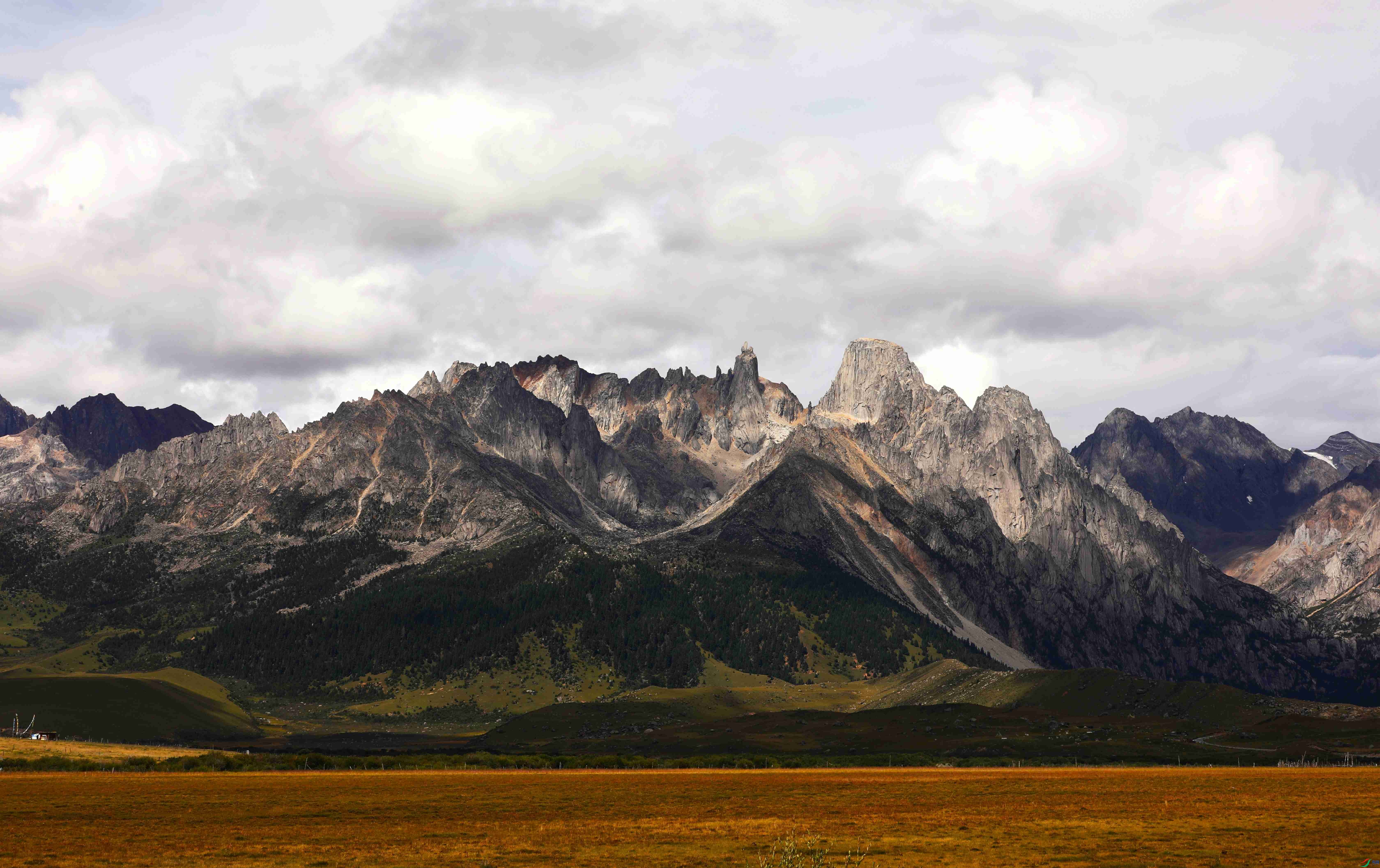 601A7698.jpg-0.jpg