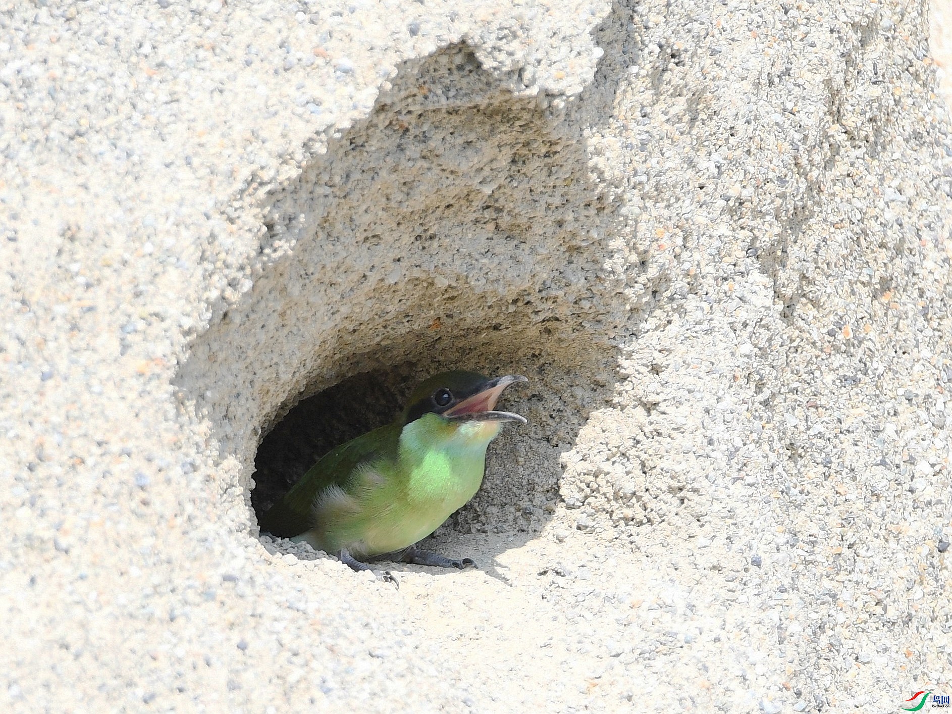 DSC_2474.jpg