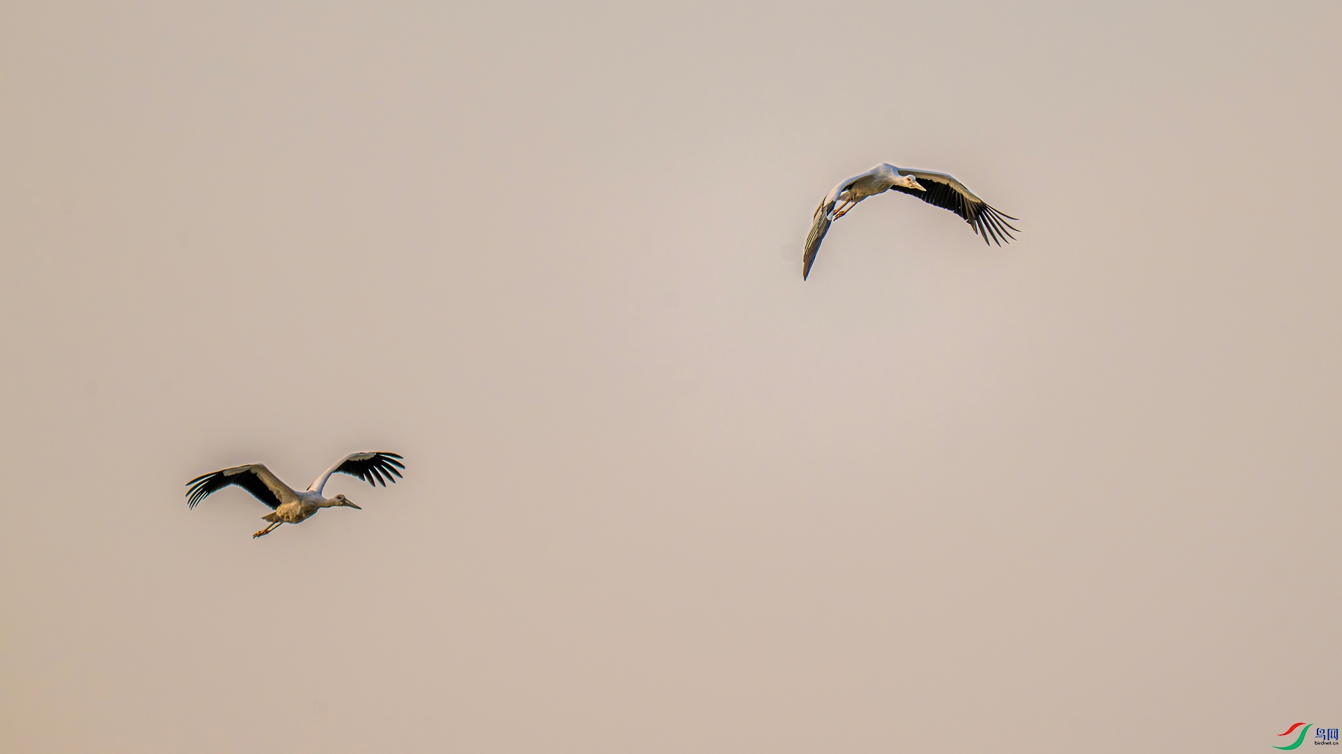 DSC_6459 ����_����.jpg