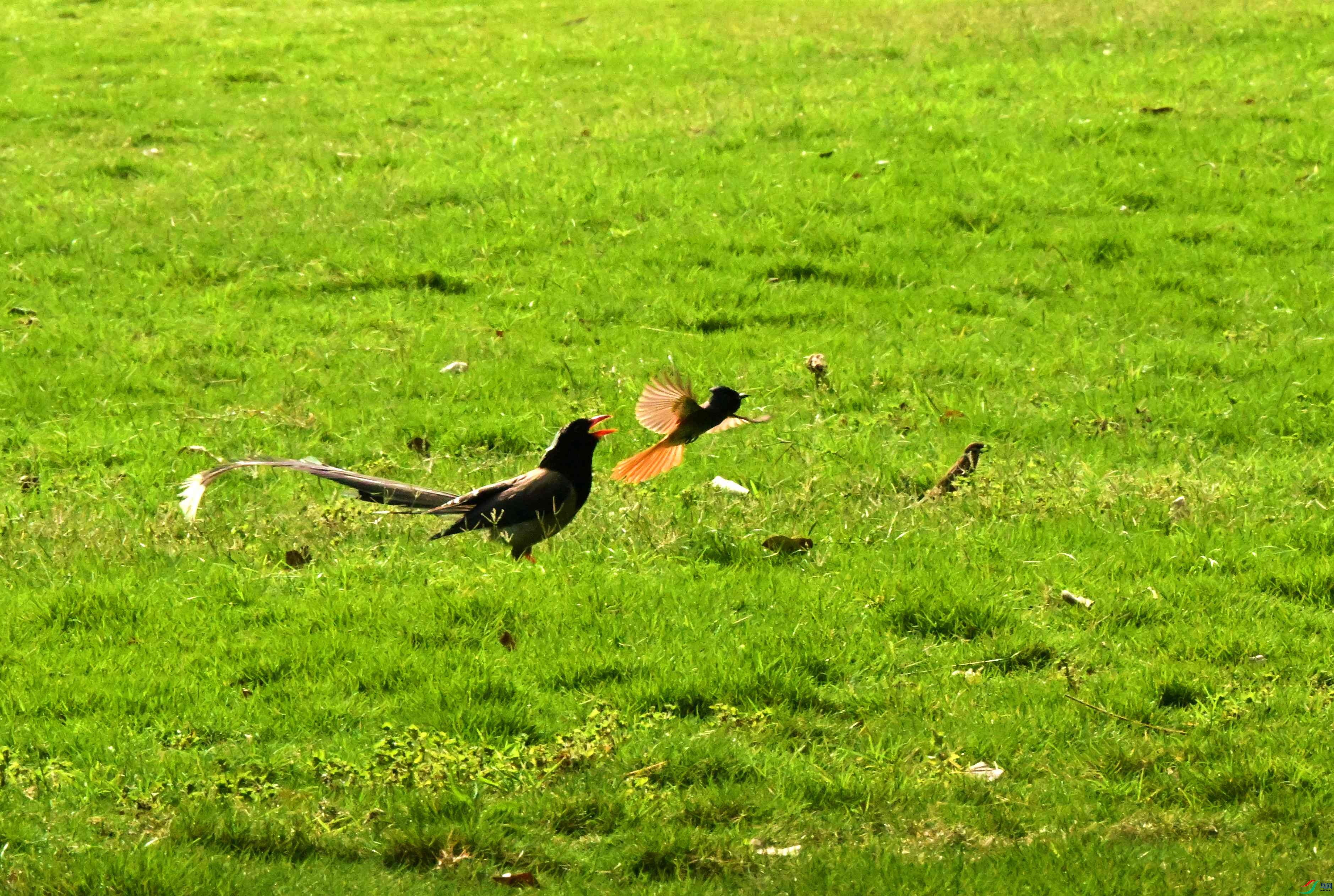 DSC_9430.JPG