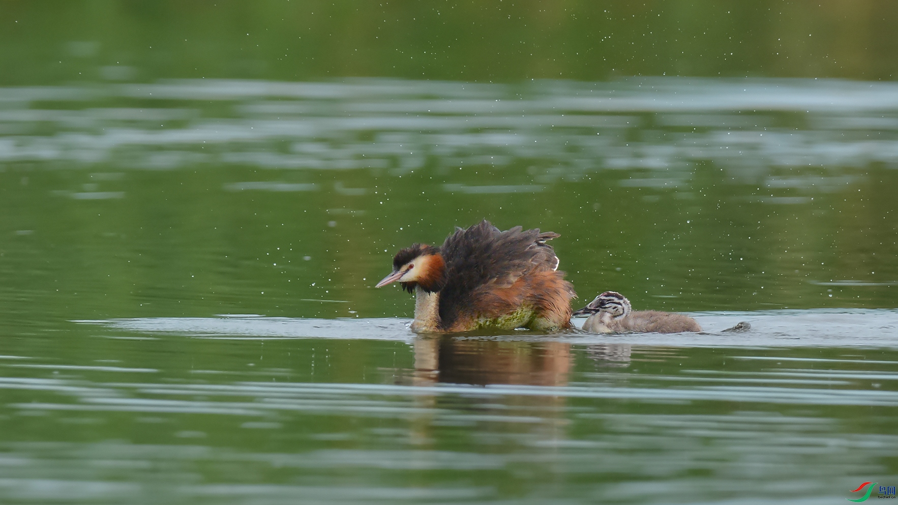 DSC_5579_DxOa.jpg