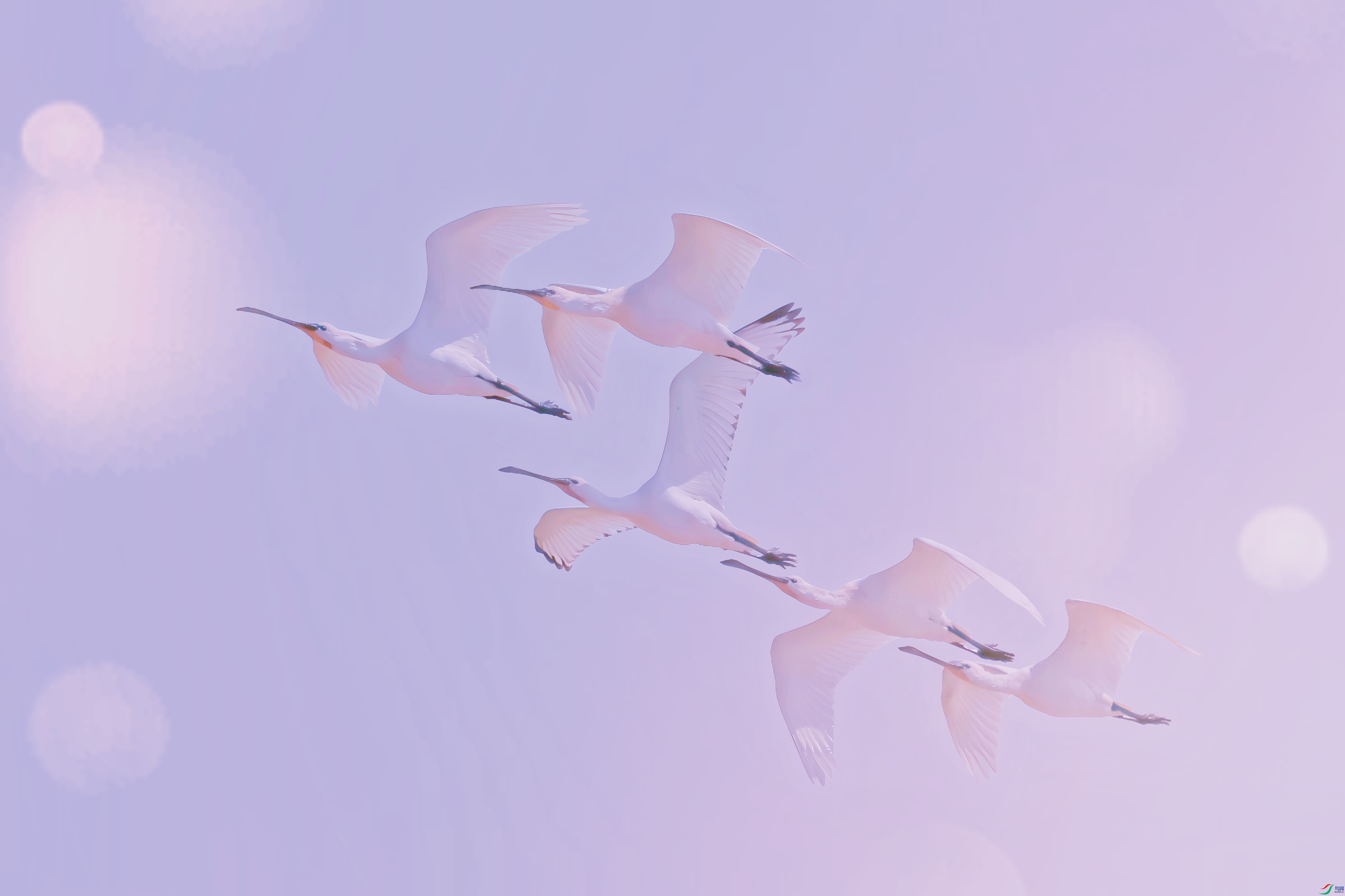AS8I2989_����.jpg