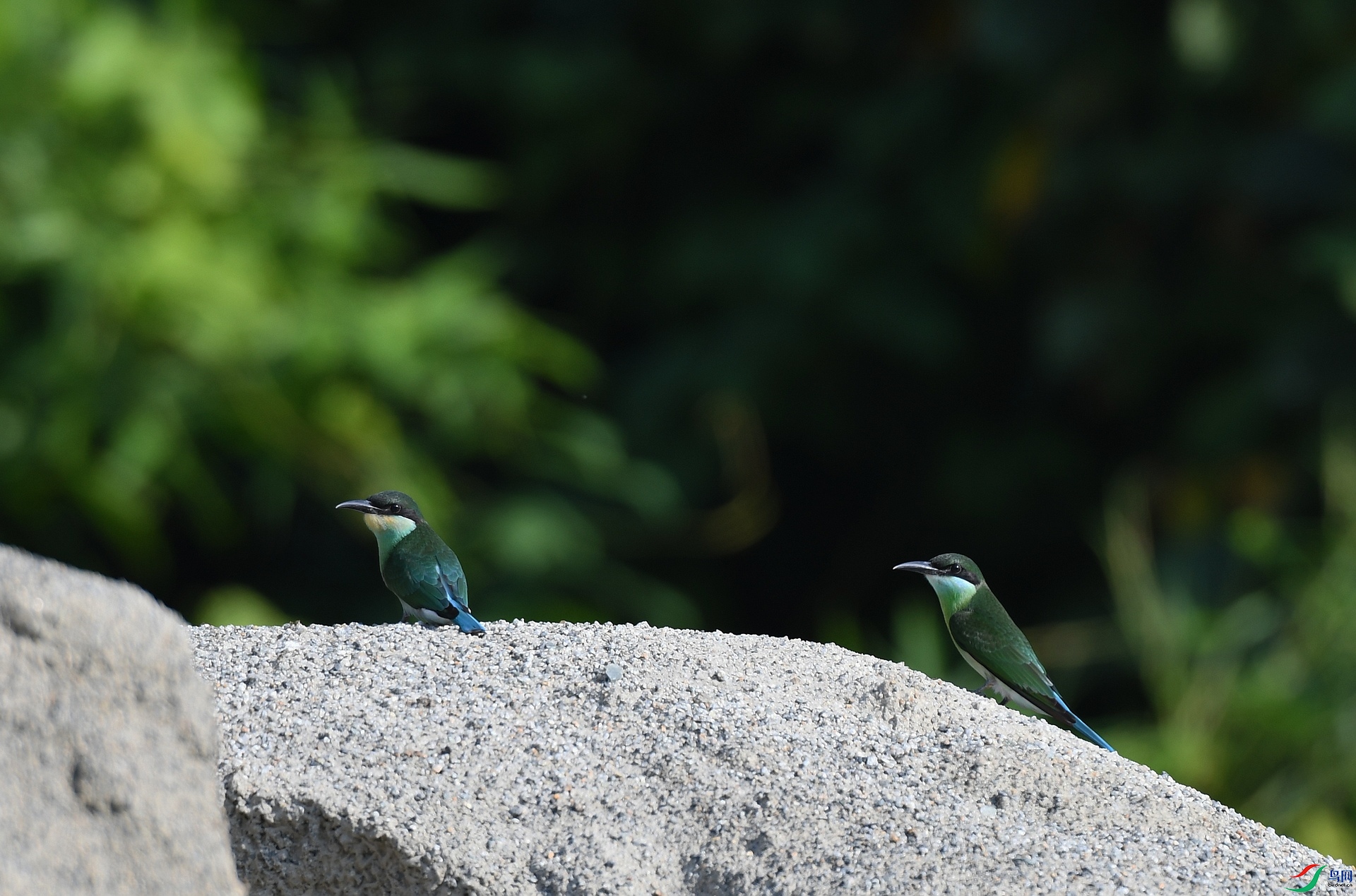 DSC_3057.jpg