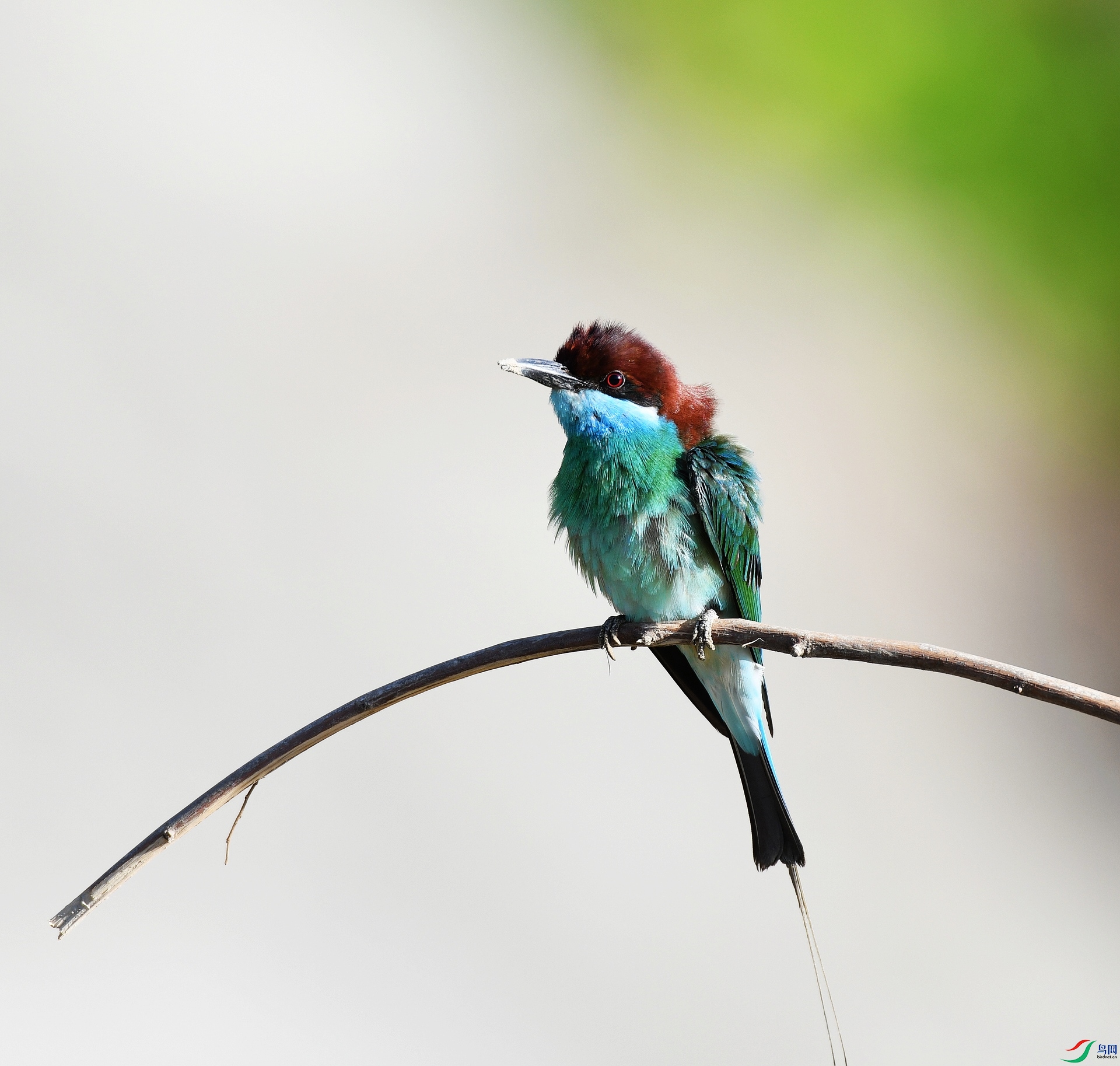 DSC_7368.jpg
