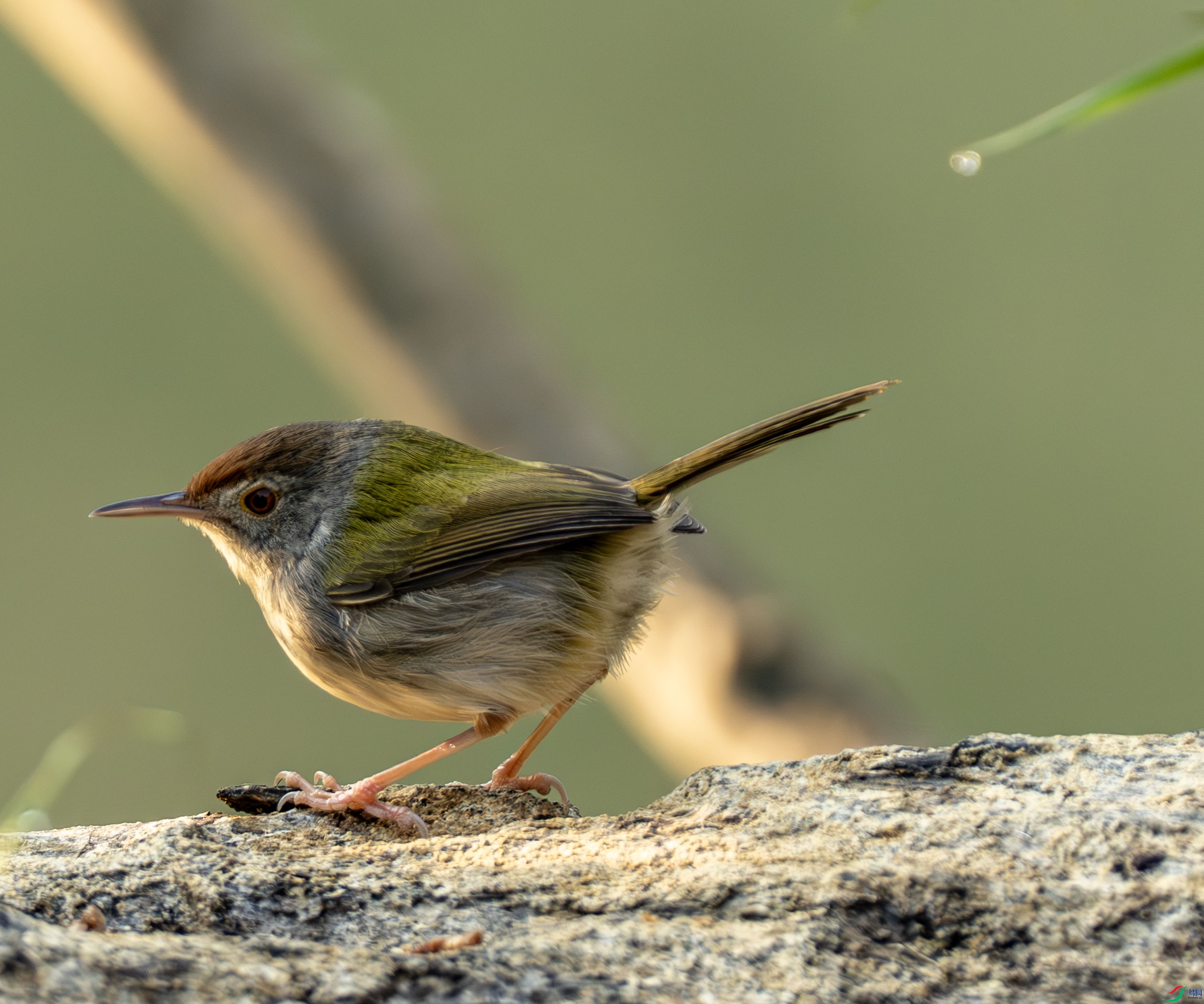 ��β��Ҷݺ-04-5-2.jpg