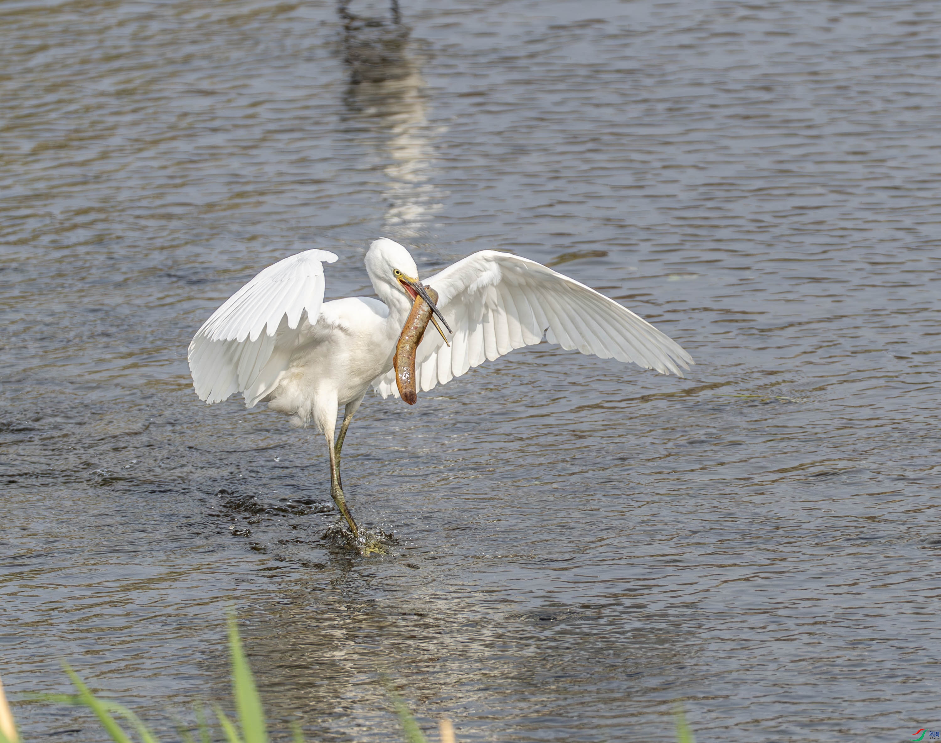 ����� (40 - 48).jpg