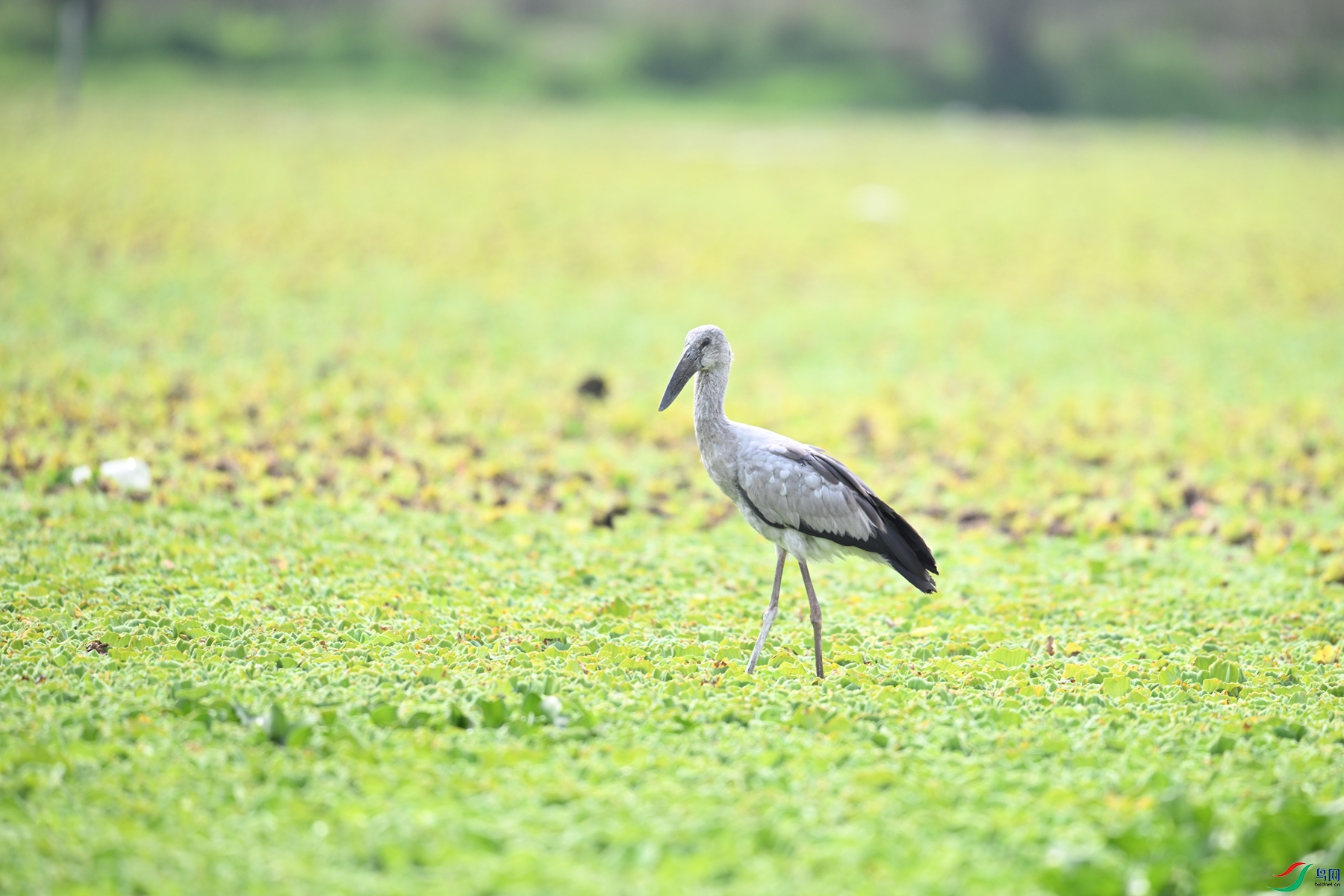 DSC_6180.JPG