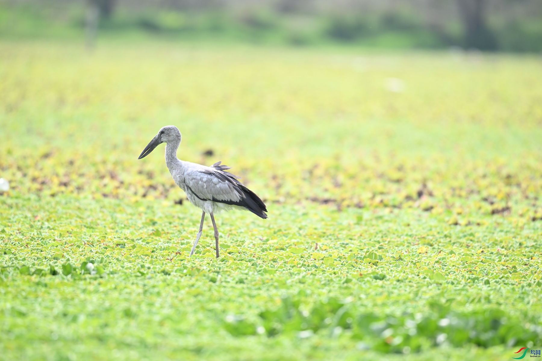 DSC_6182.JPG