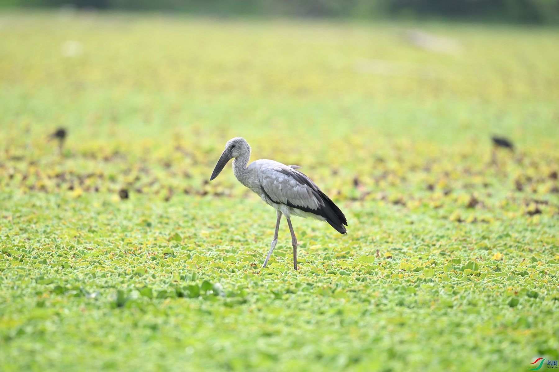 DSC_6176.JPG