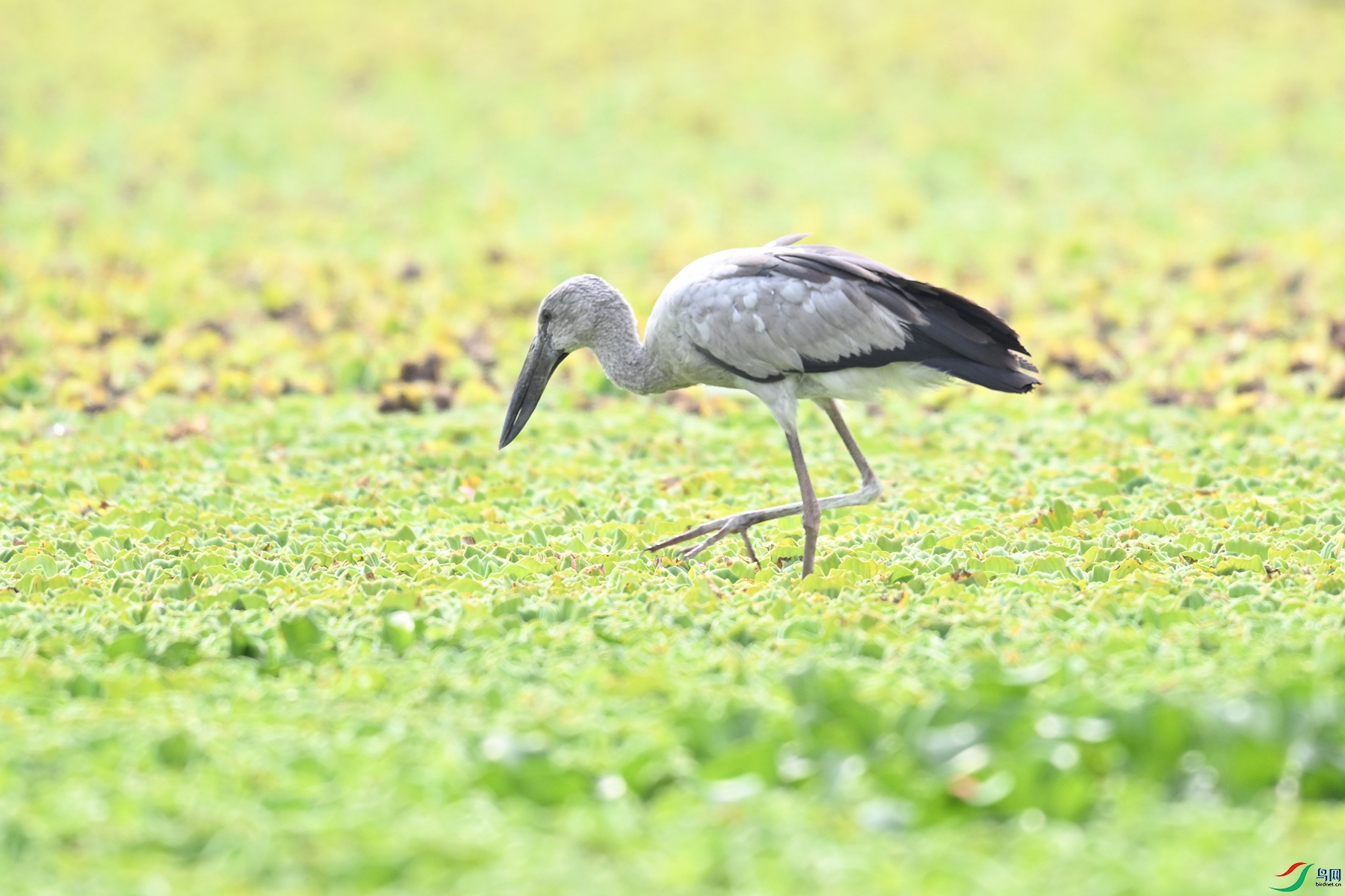 DSC_6189.JPG
