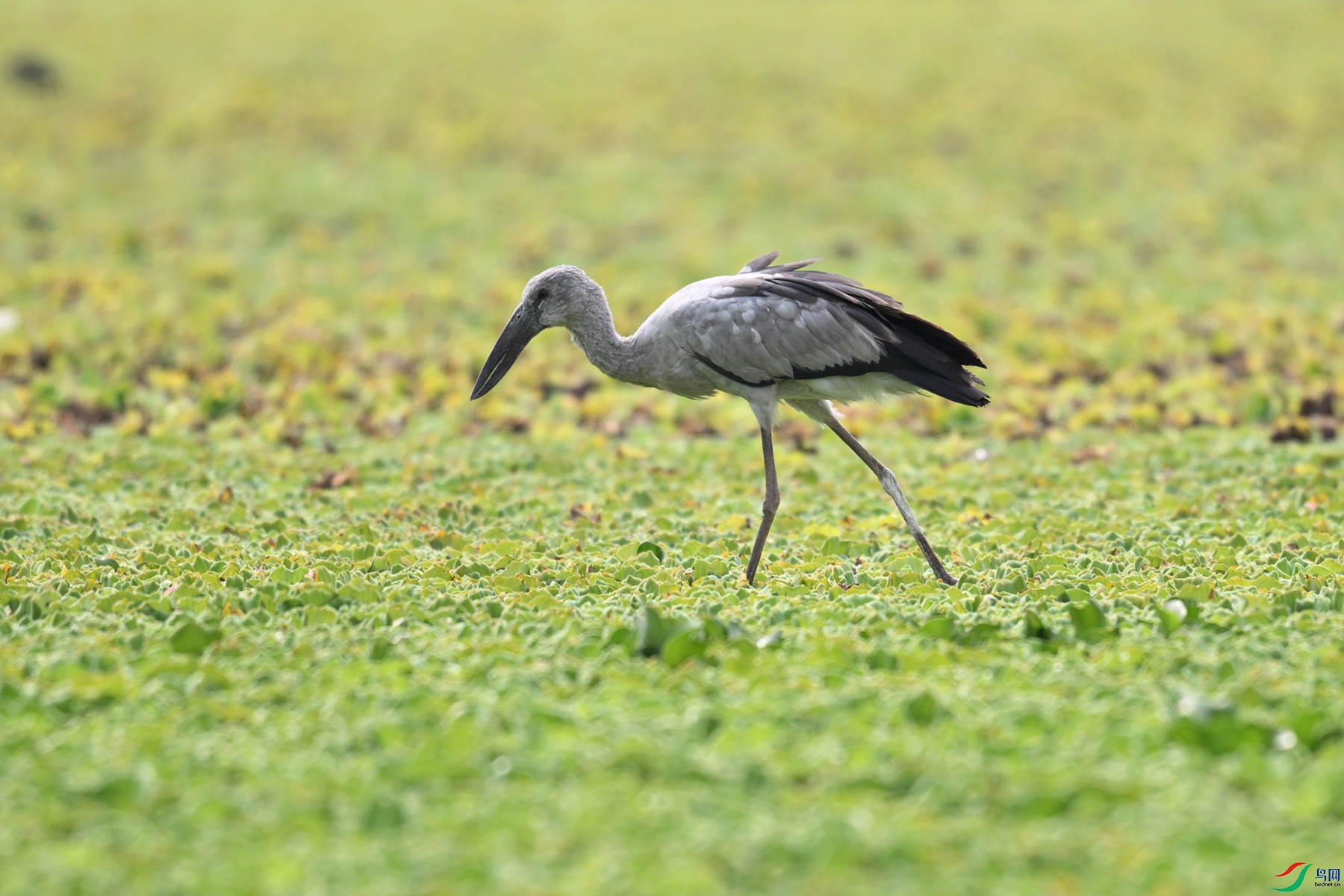DSC_6192.JPG