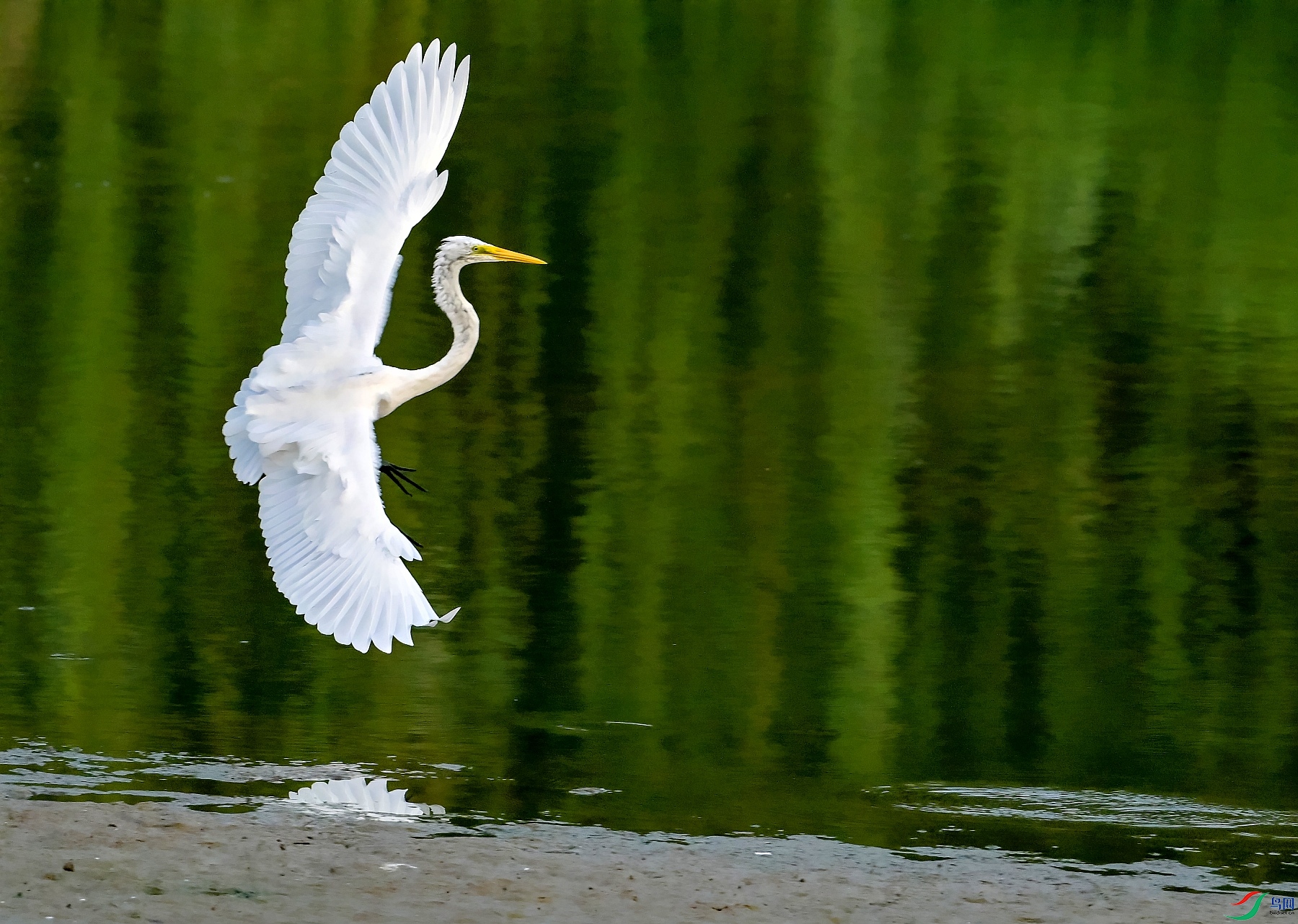 DSC_3321չ��.jpg