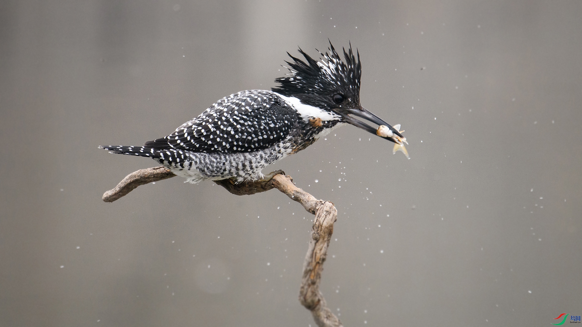 DSC_1858-20240220��.jpg