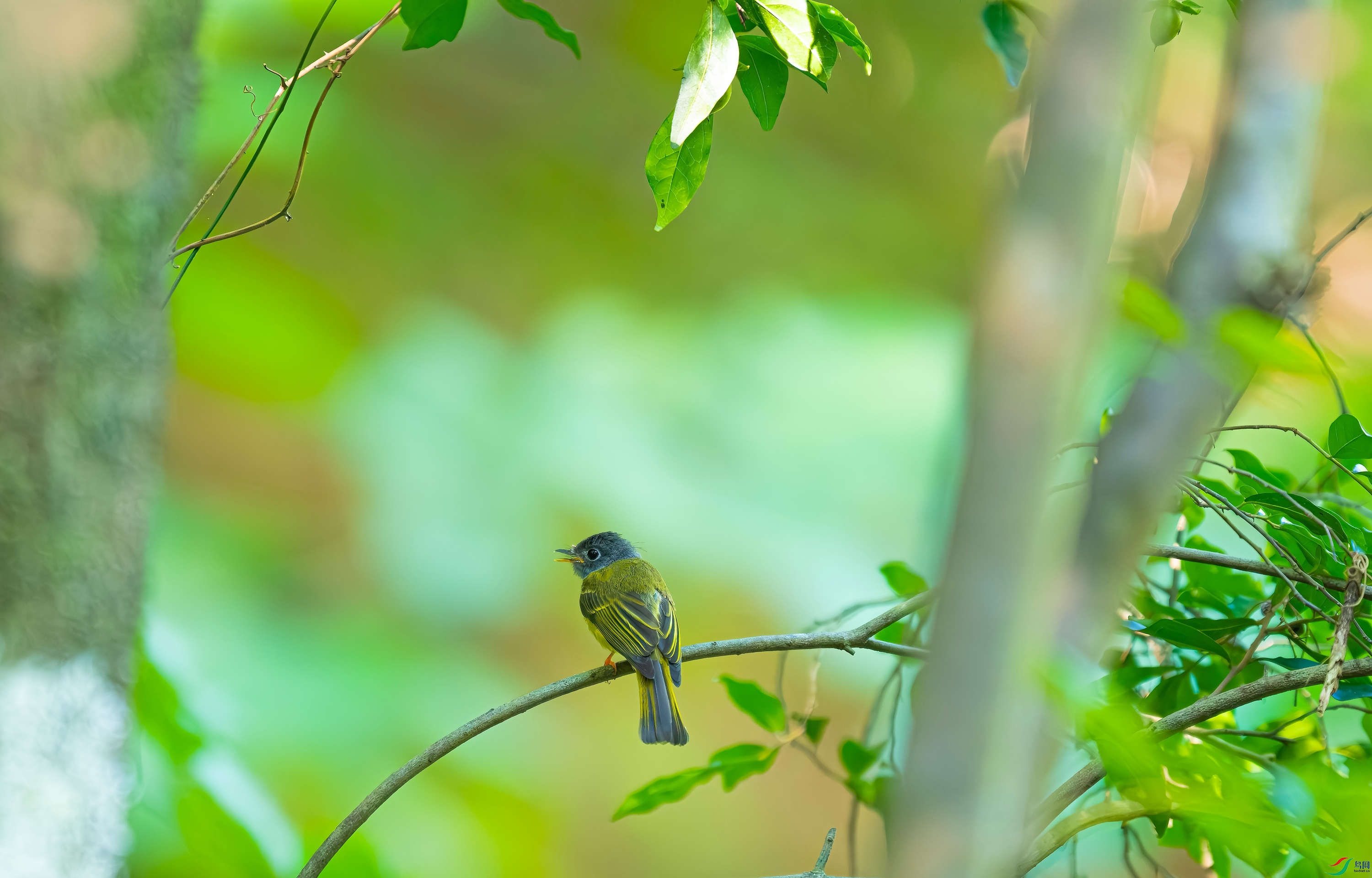 DSCF7029.jpg