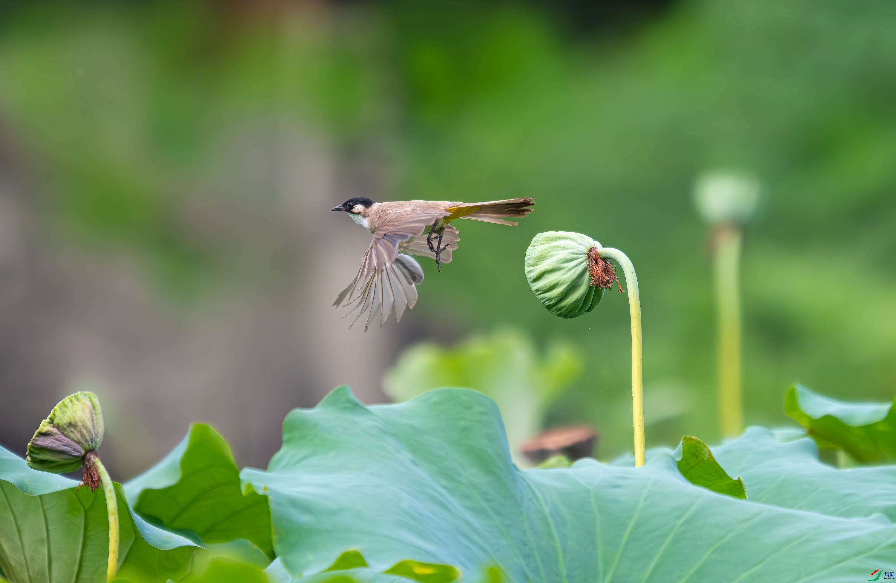 DSCF7270.jpg