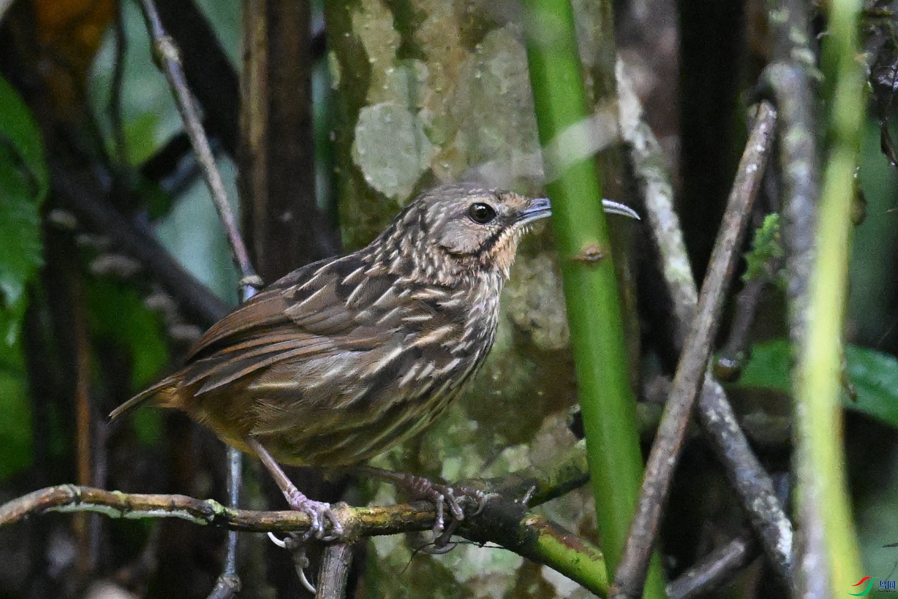 DSC_0572.JPG